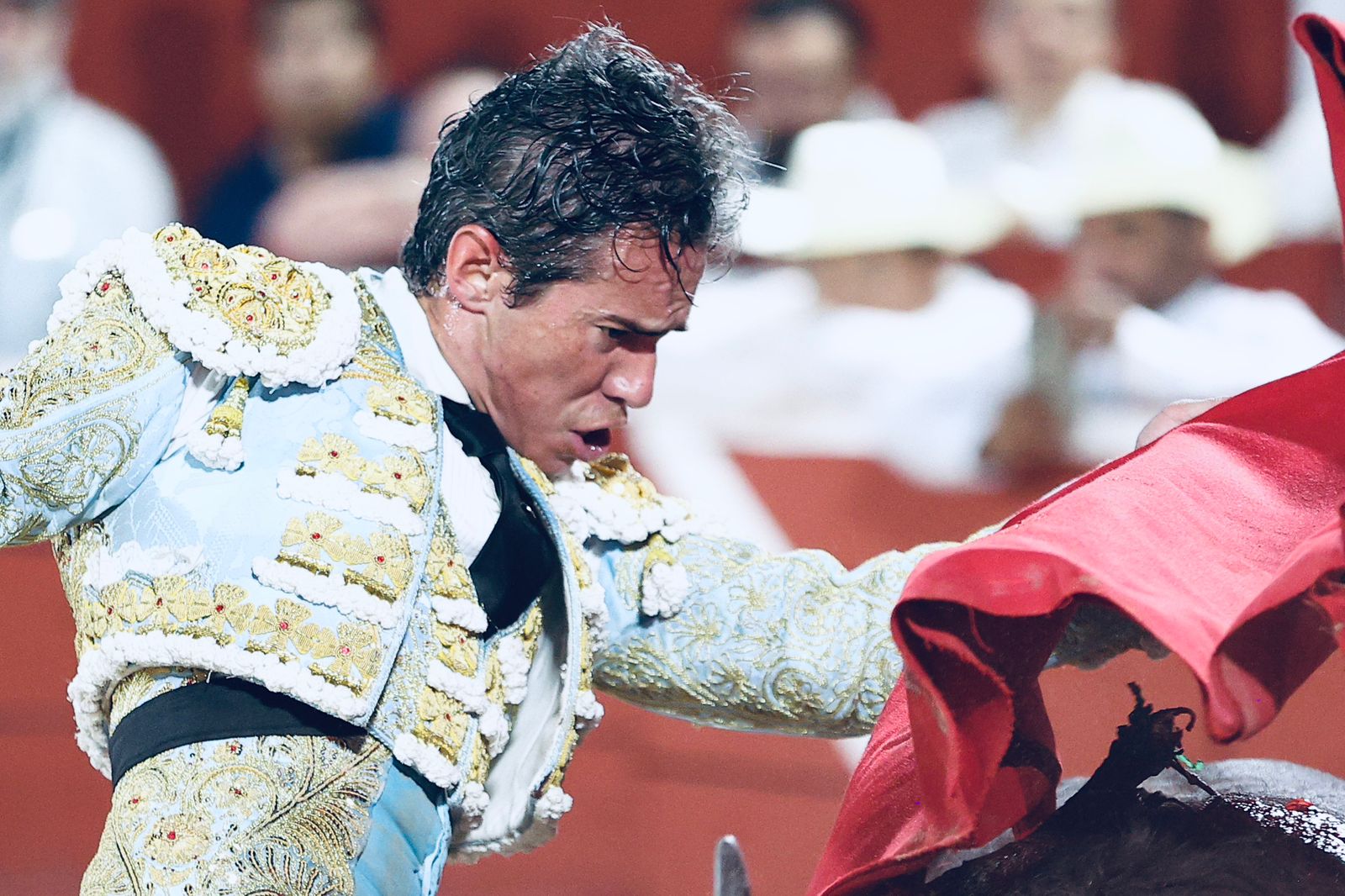 WhatsApp Image 2026-01-25 at 20.37.52 (4)