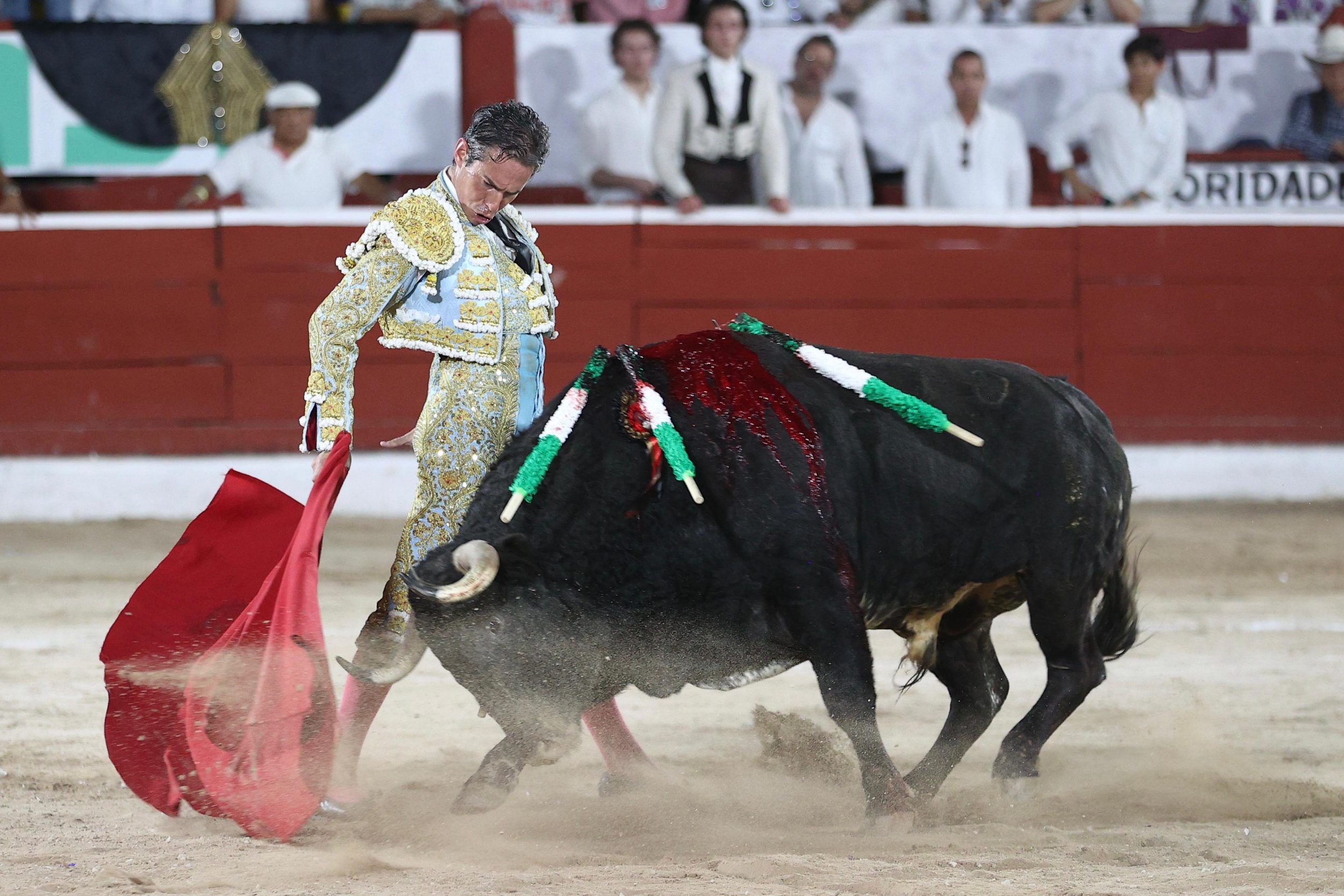 WhatsApp Image 2026-01-25 at 20.37.53