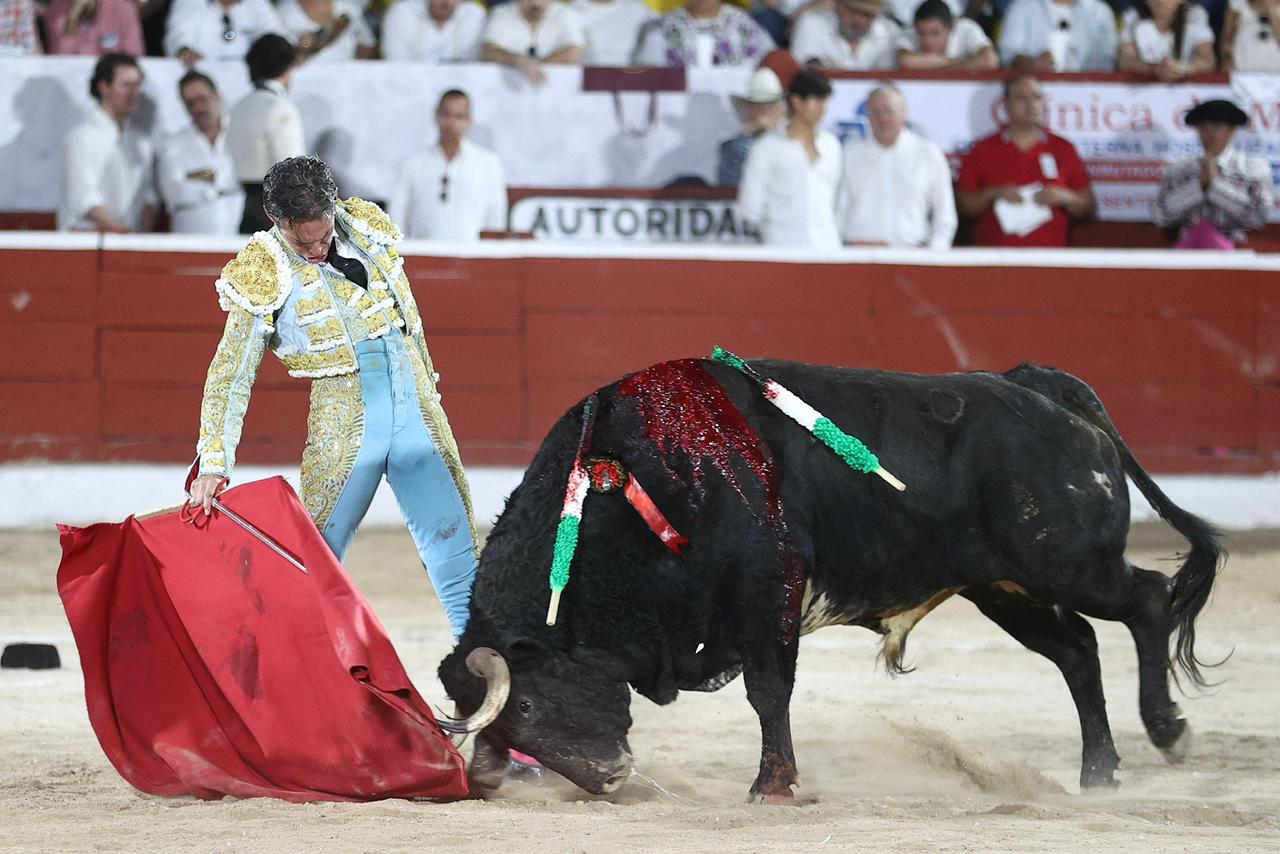 WhatsApp Image 2026-01-25 at 20.37.53 (3)