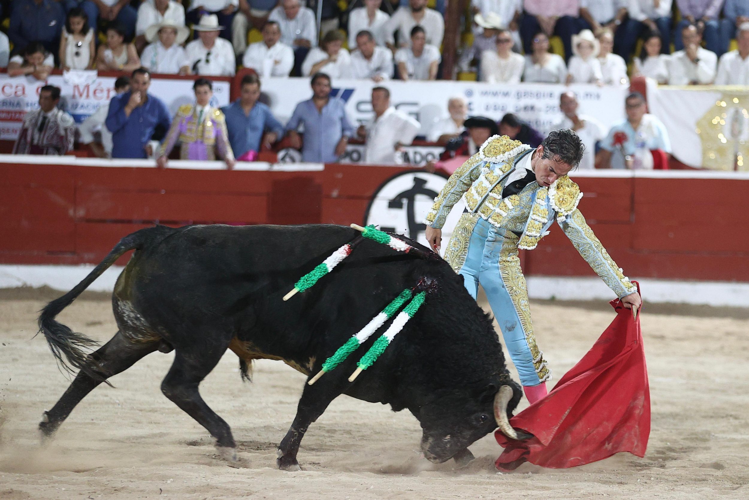 WhatsApp Image 2026-01-25 at 20.37.54 (1)