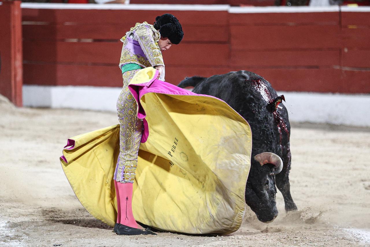 WhatsApp Image 2026-01-25 at 20.37.55 (1)