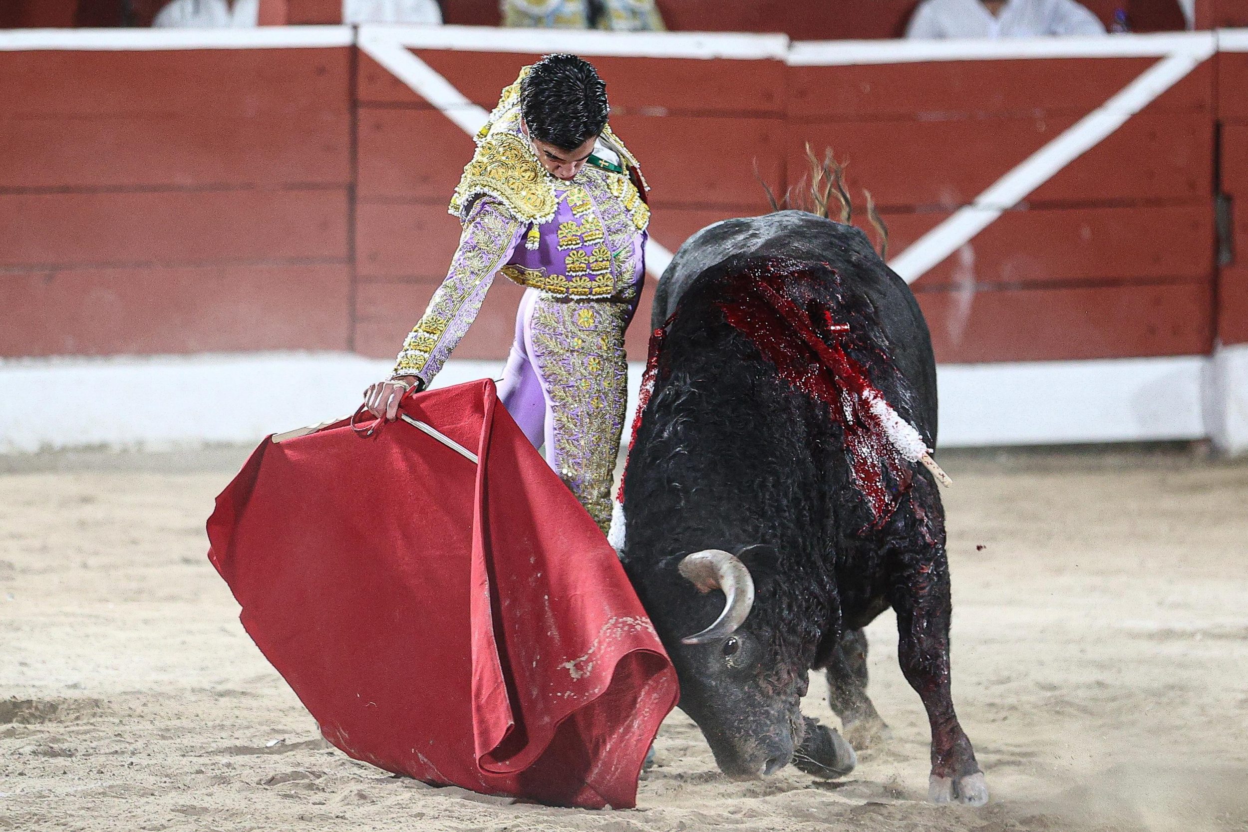 WhatsApp Image 2026-01-25 at 20.37.55 (3)