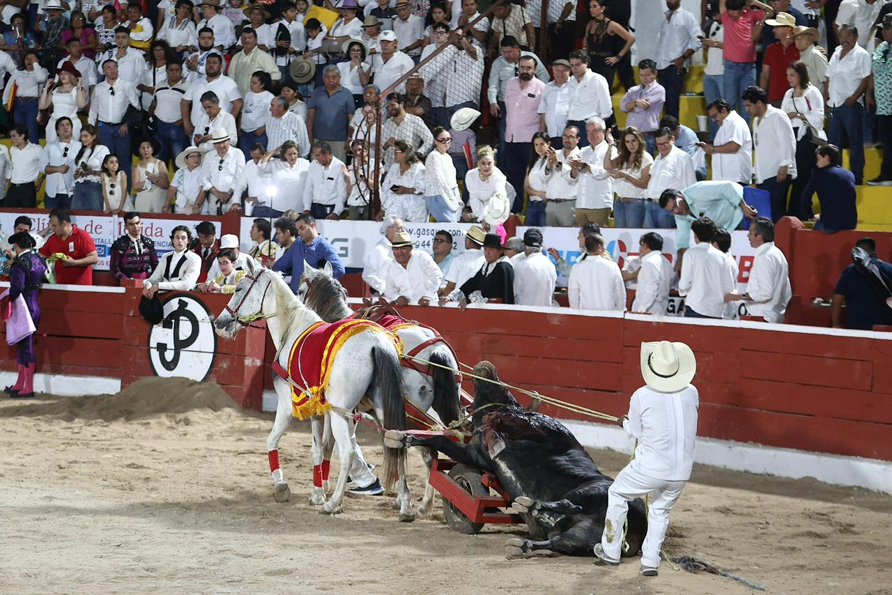 WhatsApp Image 2026-01-25 at 20.37.56 (2)