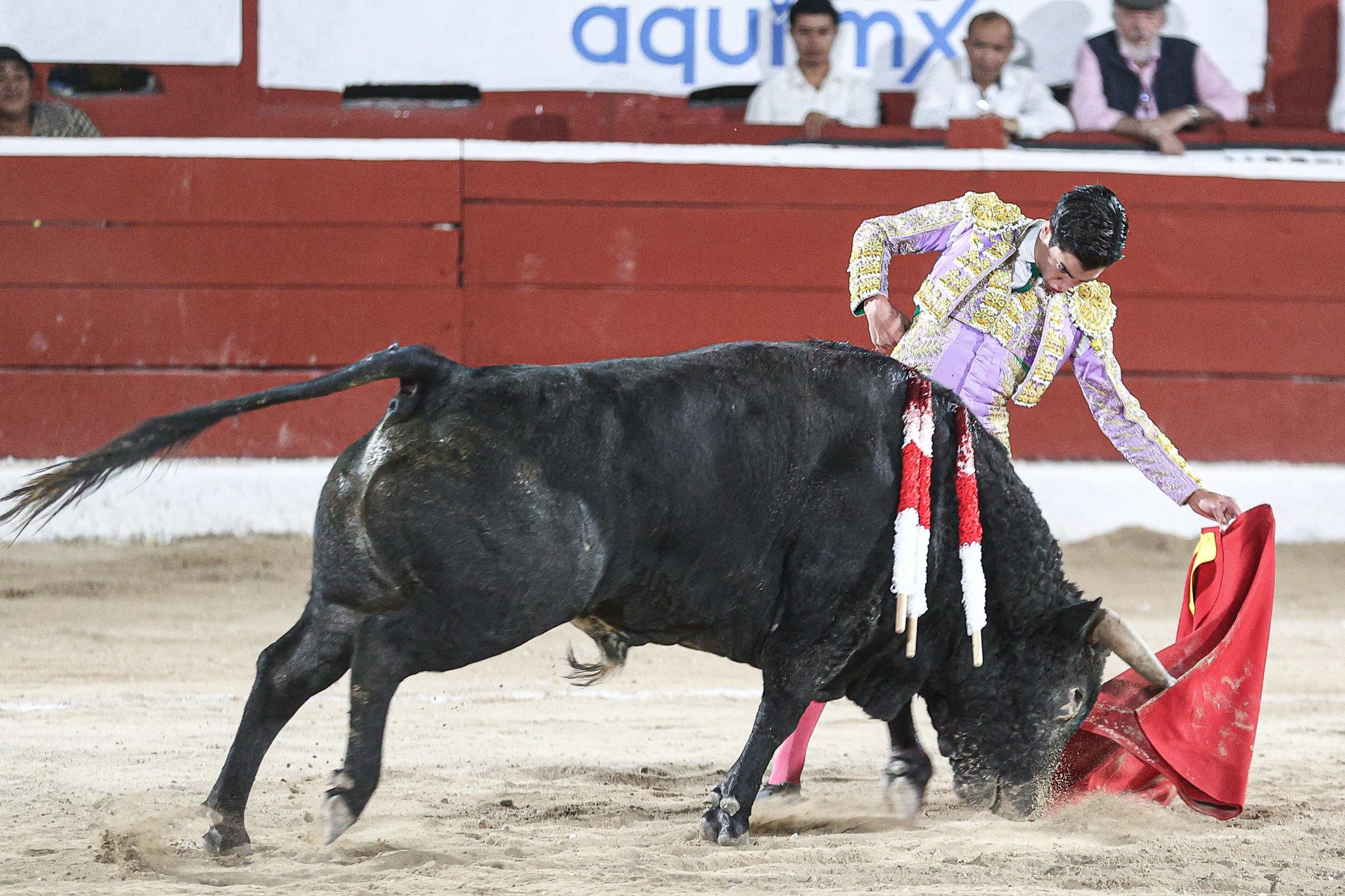 WhatsApp Image 2026-01-25 at 20.37.56 (3)