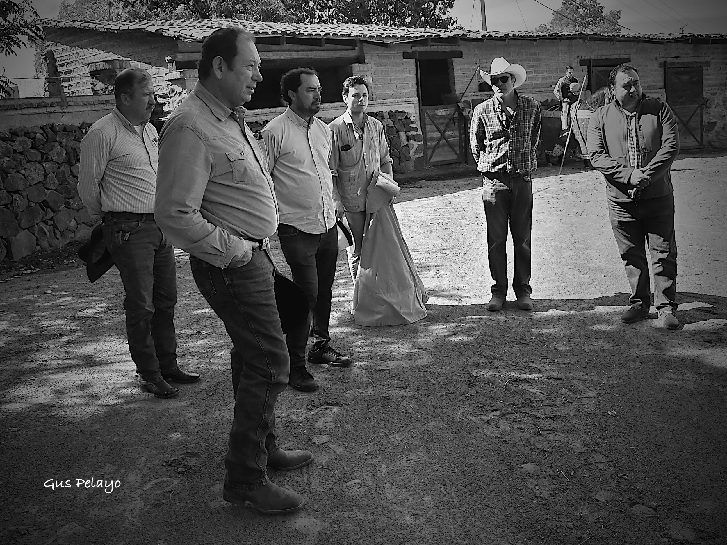 WhatsApp Image 2026-01-27 at 15.08.15 (3)