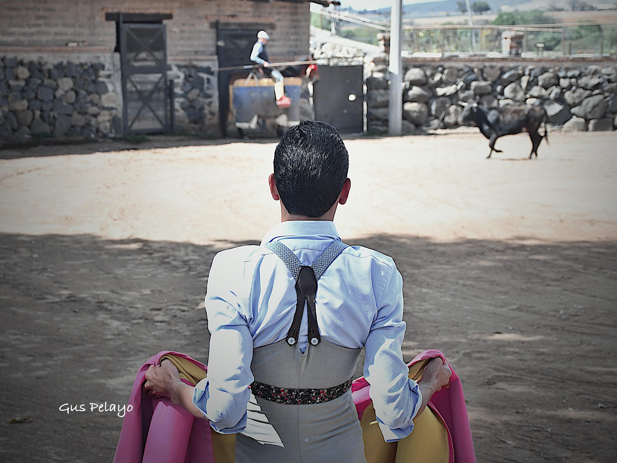 WhatsApp Image 2026-01-27 at 15.08.15 (5)