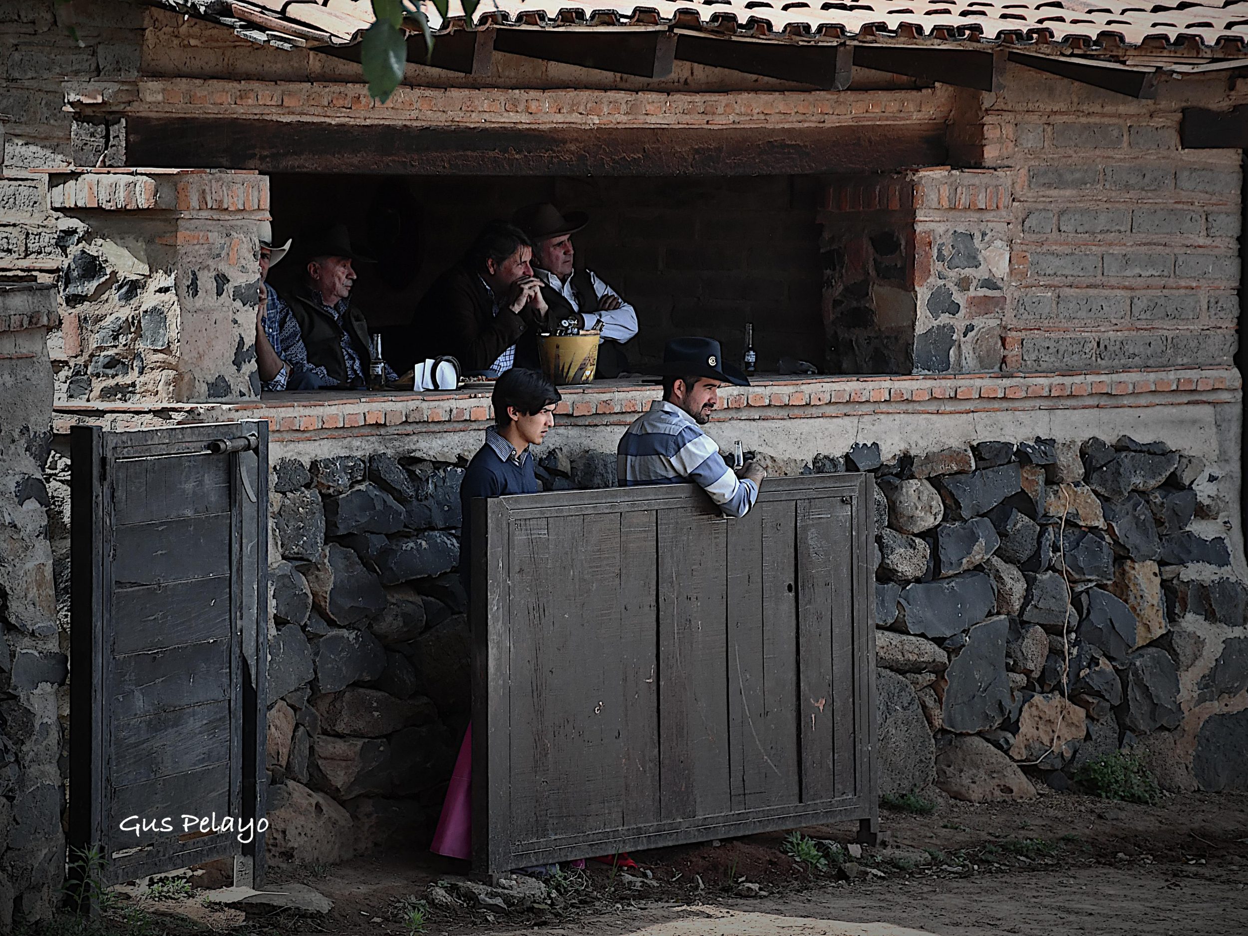 WhatsApp Image 2026-01-27 at 15.08.16 (1)