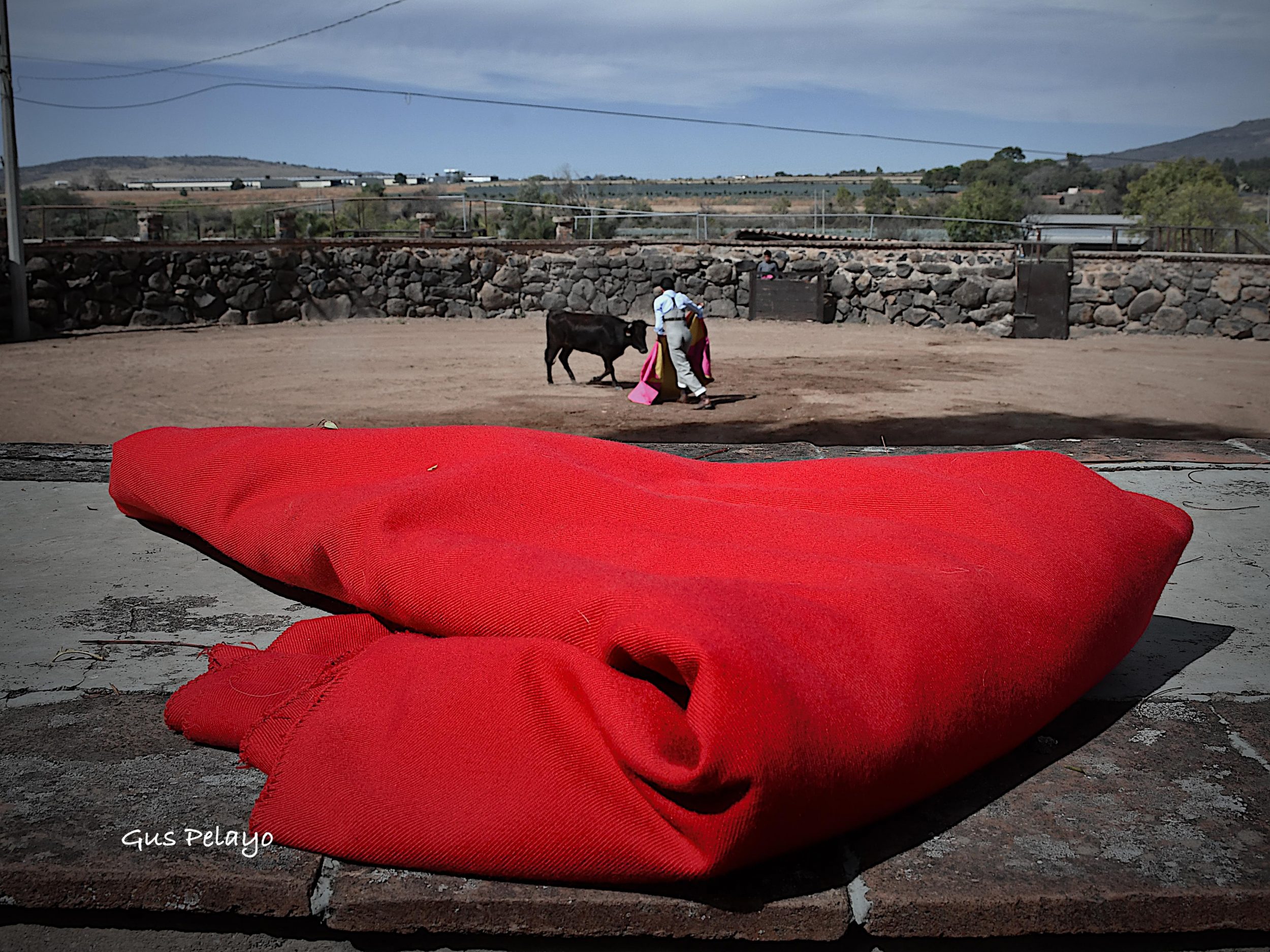 WhatsApp Image 2026-01-27 at 15.08.16