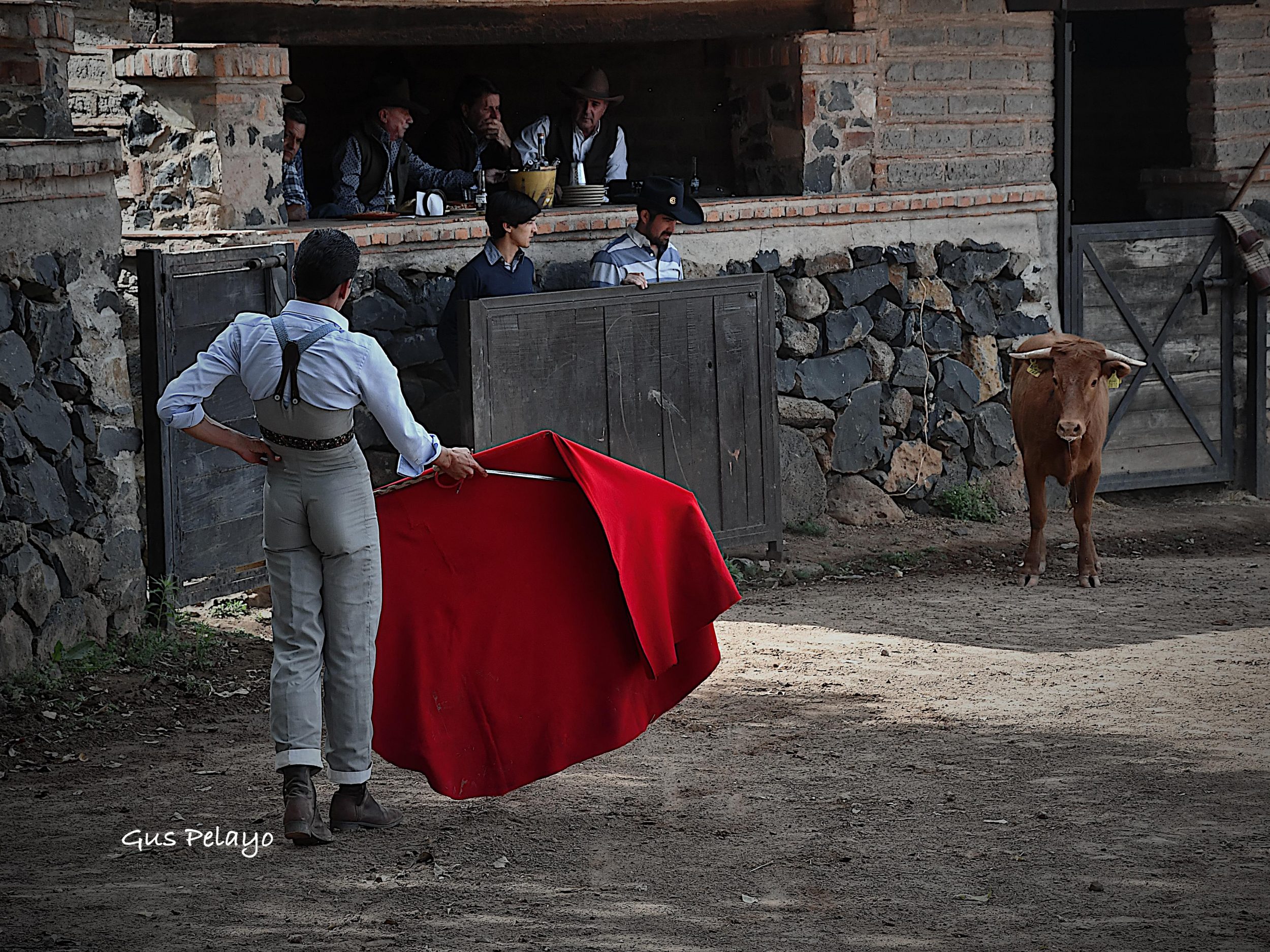 WhatsApp Image 2026-01-27 at 15.08.16 (3)