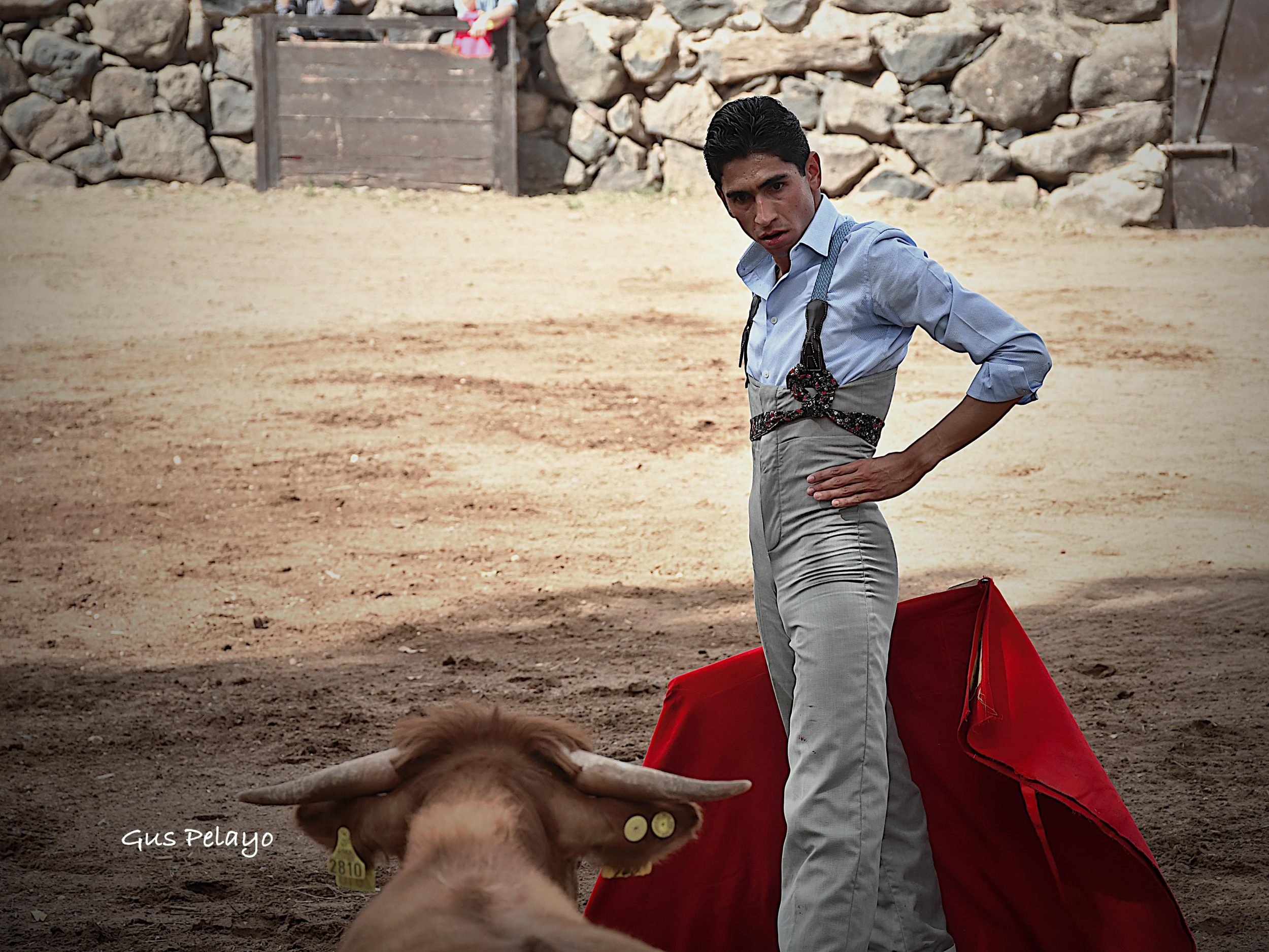 WhatsApp Image 2026-01-27 at 15.08.16 (5)