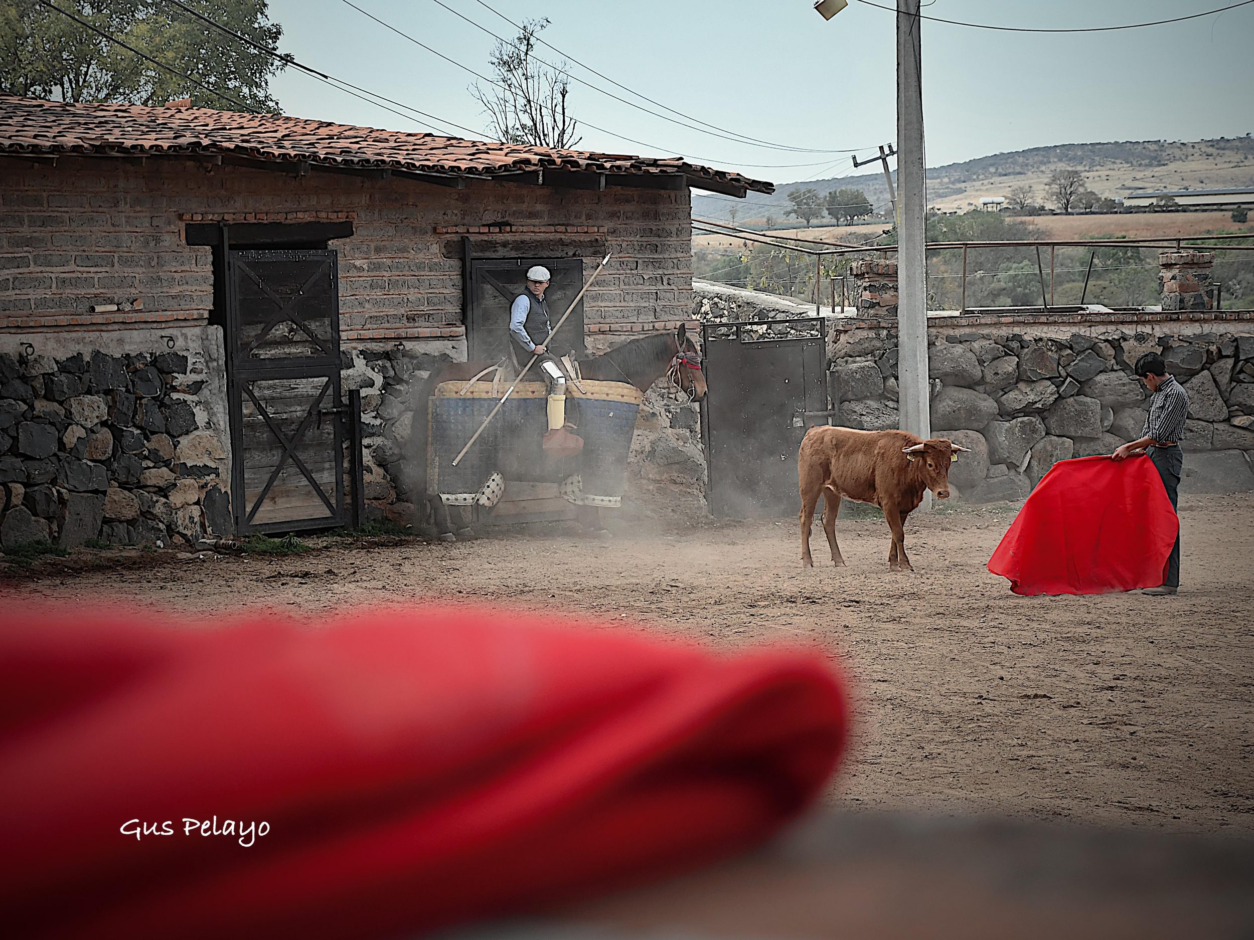 WhatsApp Image 2026-01-27 at 15.08.16 (6)