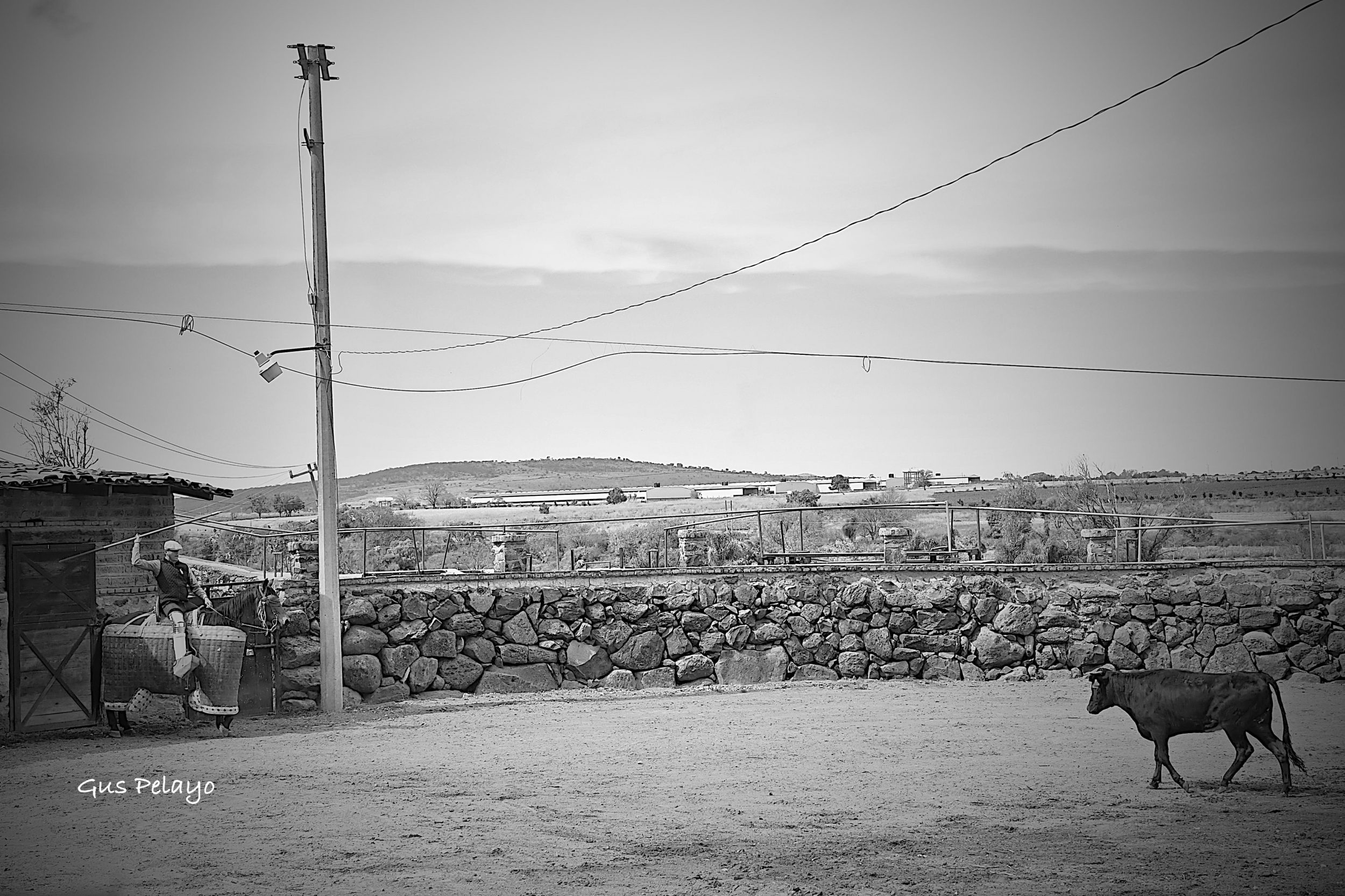 WhatsApp Image 2026-01-27 at 15.08.16 (7)