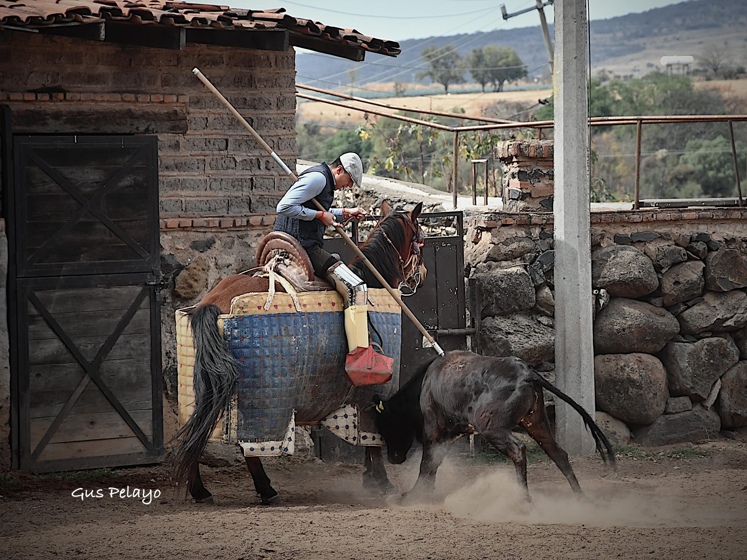 WhatsApp Image 2026-01-27 at 15.08.16 (8)