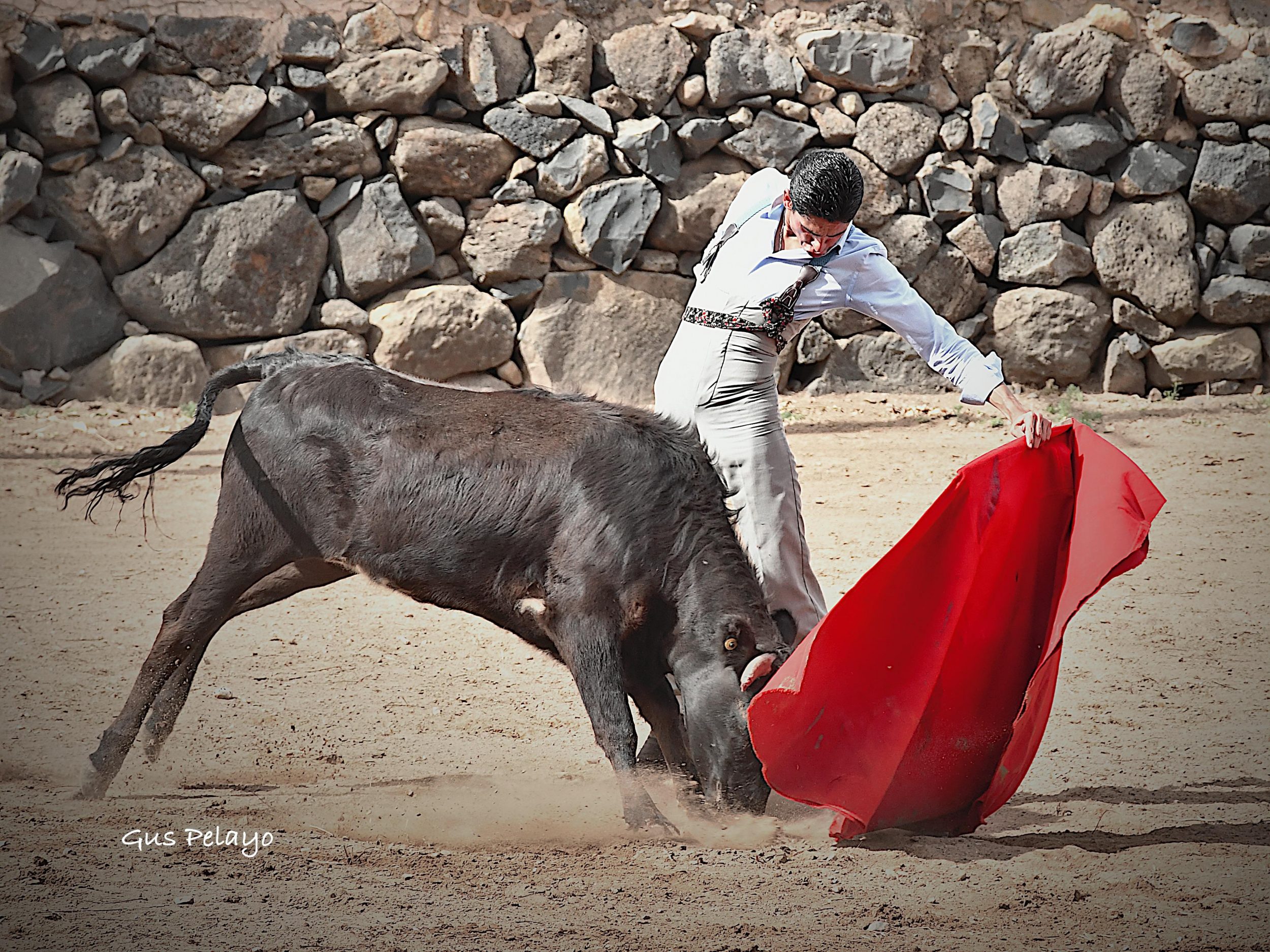 WhatsApp Image 2026-01-27 at 15.08.16 (9)