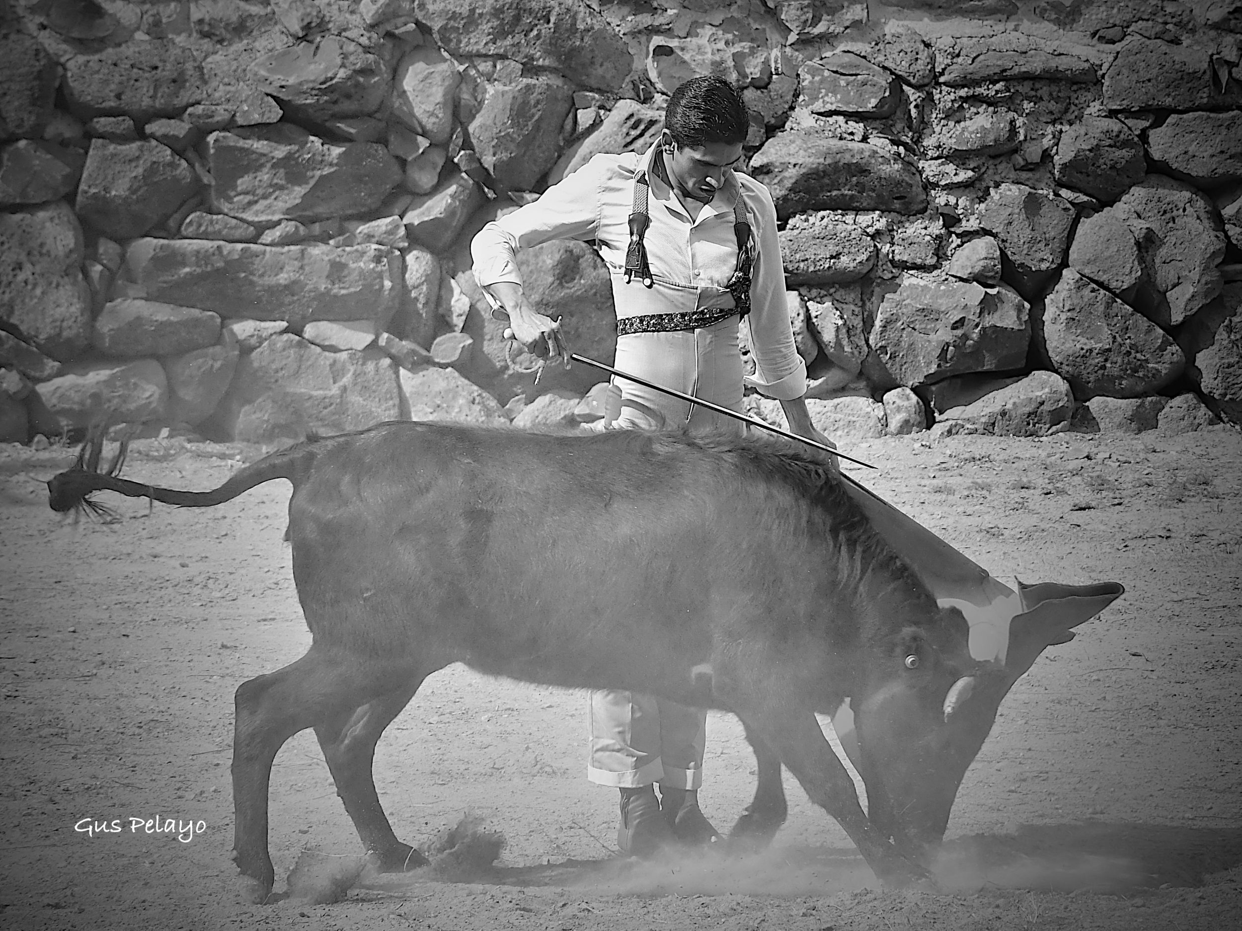 WhatsApp Image 2026-01-27 at 15.08.17 (1)