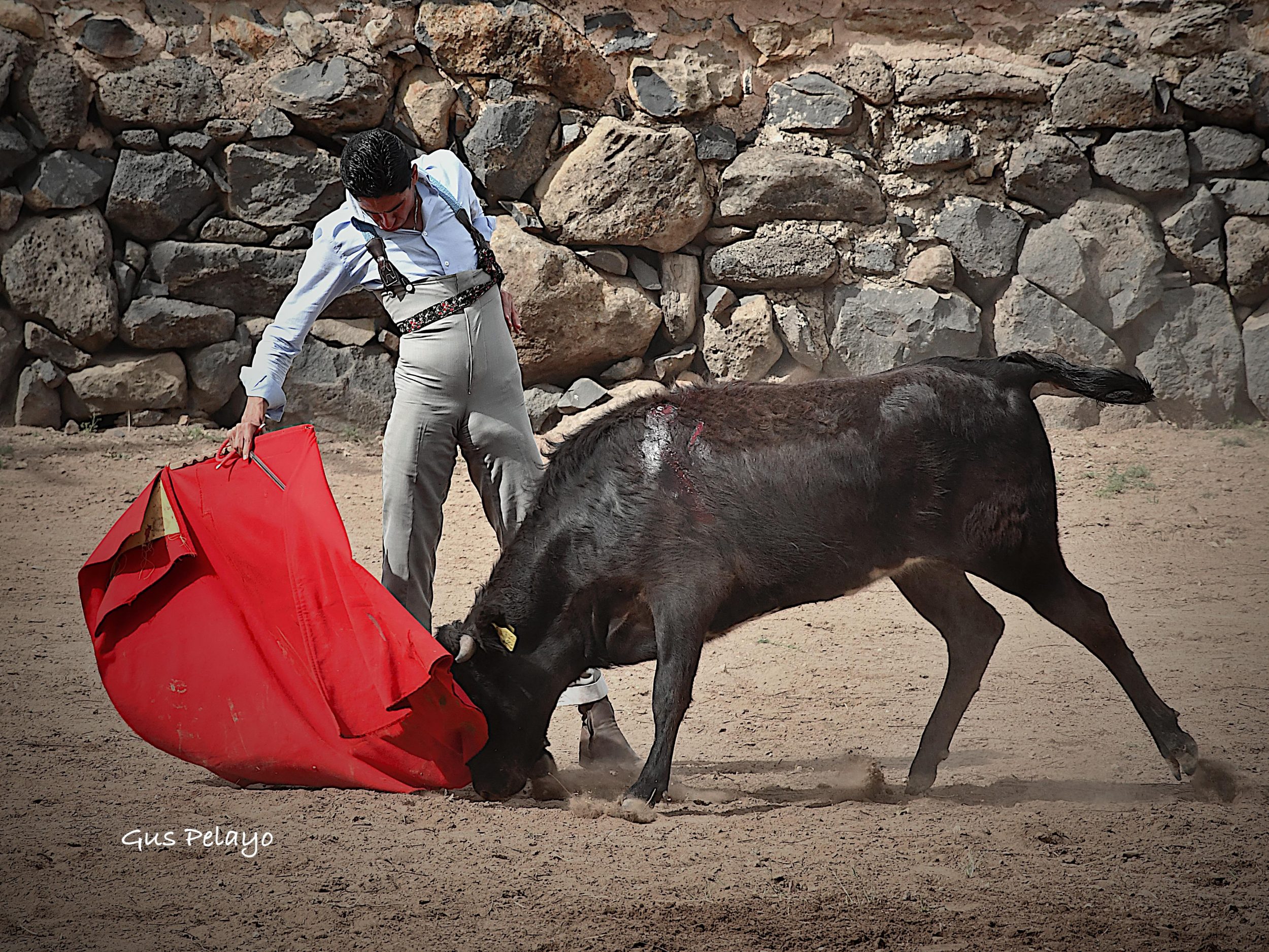 WhatsApp Image 2026-01-27 at 15.08.17 (2)