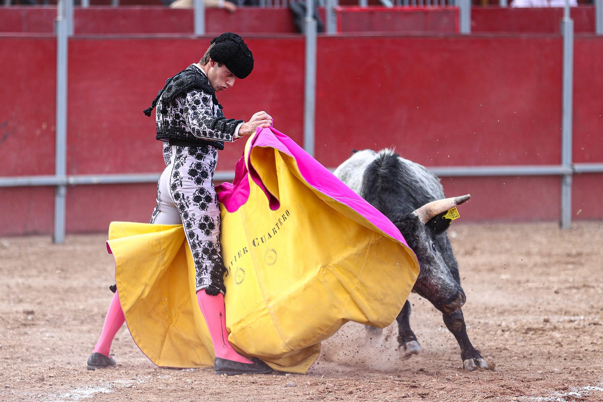 WhatsApp Image 2026-02-02 at 21.29.47 (1)