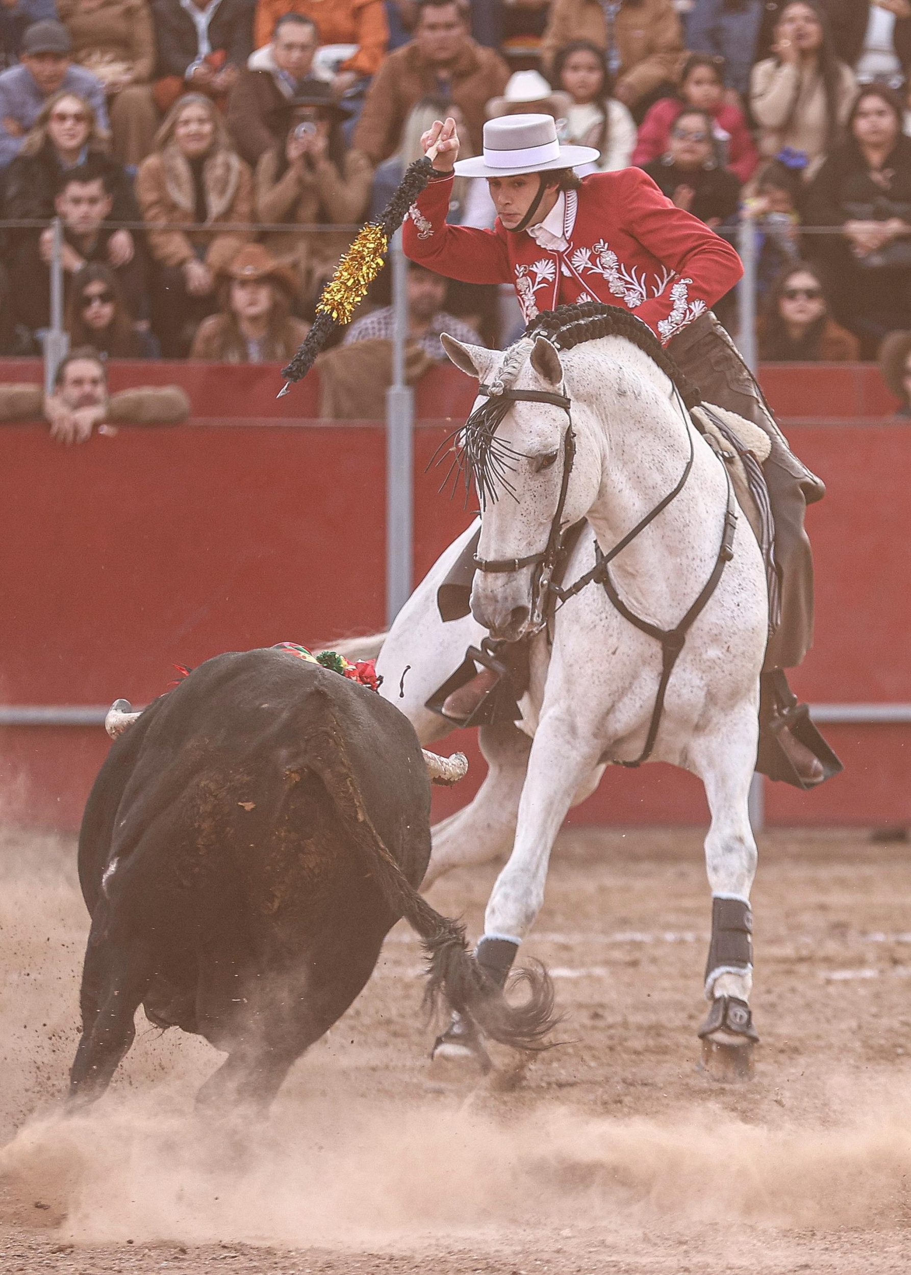 WhatsApp Image 2026-02-02 at 21.29.47