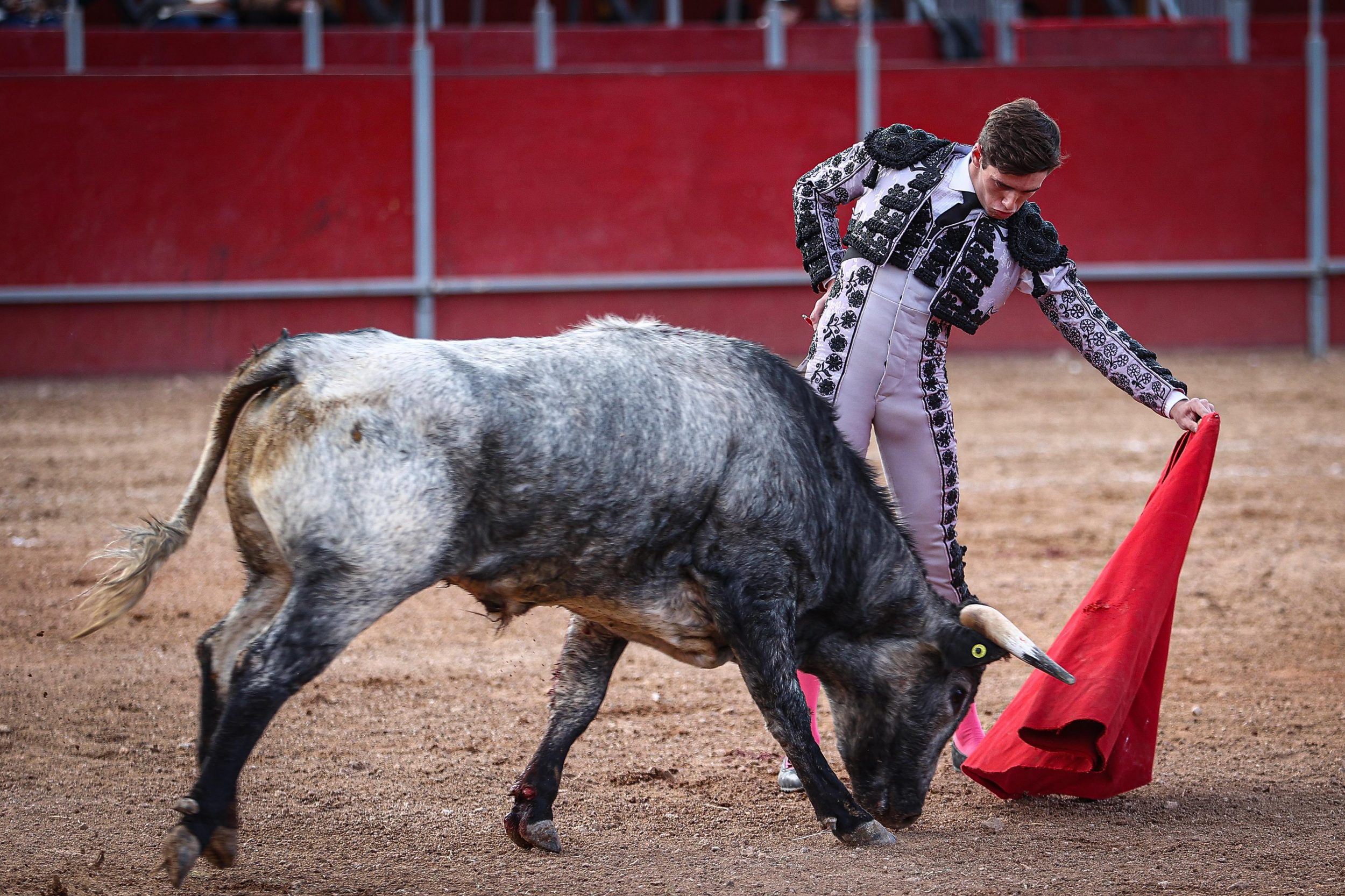 WhatsApp Image 2026-02-02 at 21.29.48