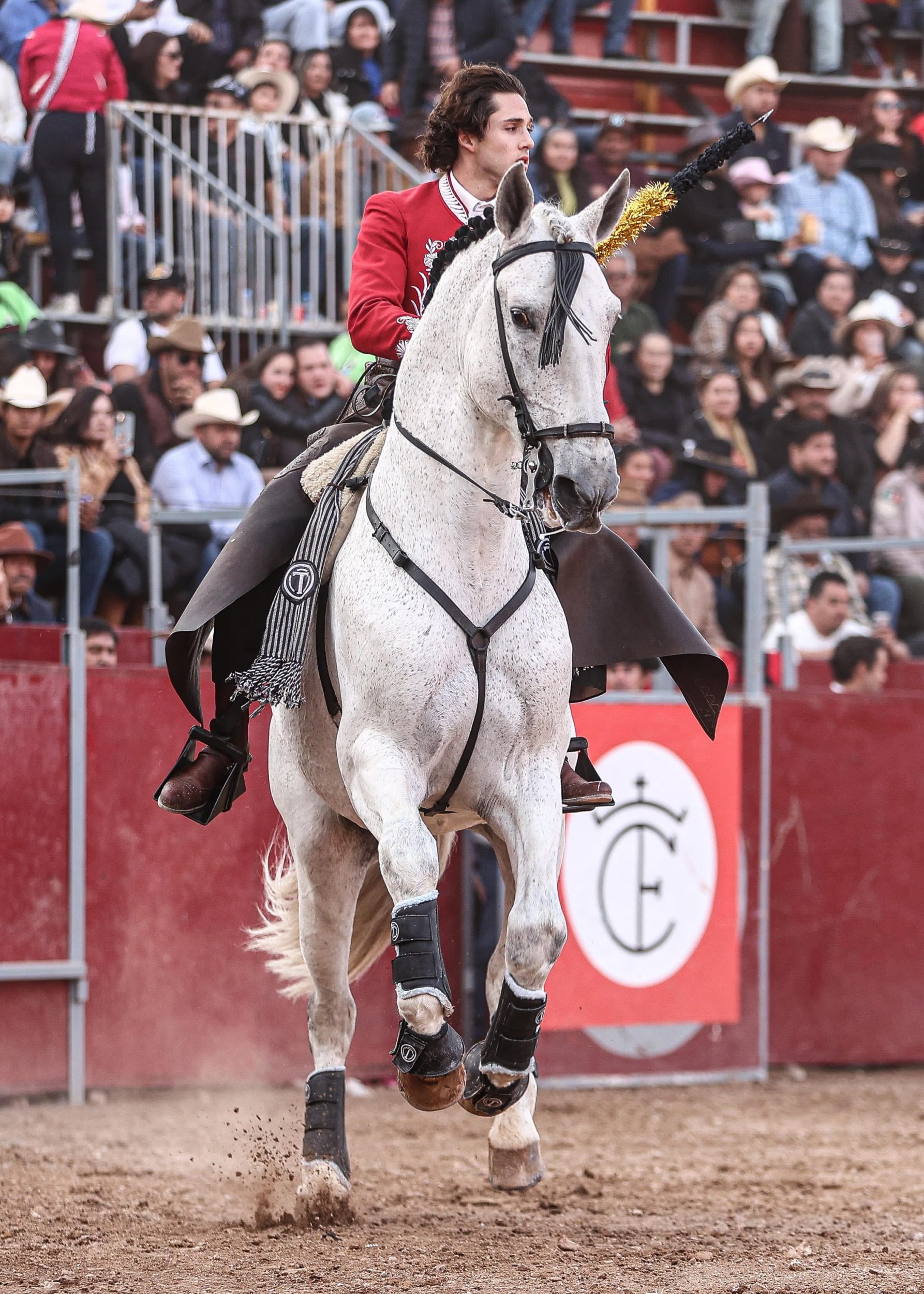 WhatsApp Image 2026-02-02 at 21.29.50 (1)