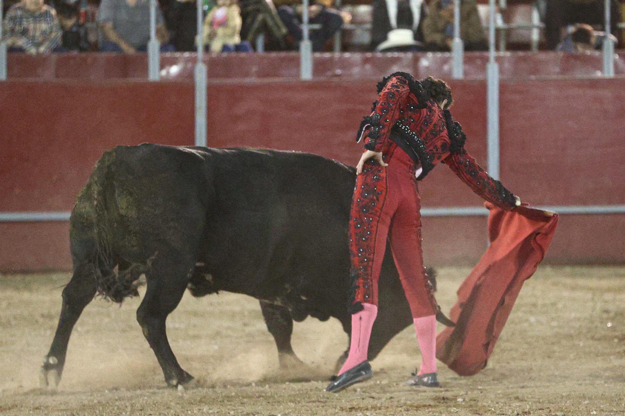 WhatsApp Image 2026-02-02 at 21.29.50 (4)