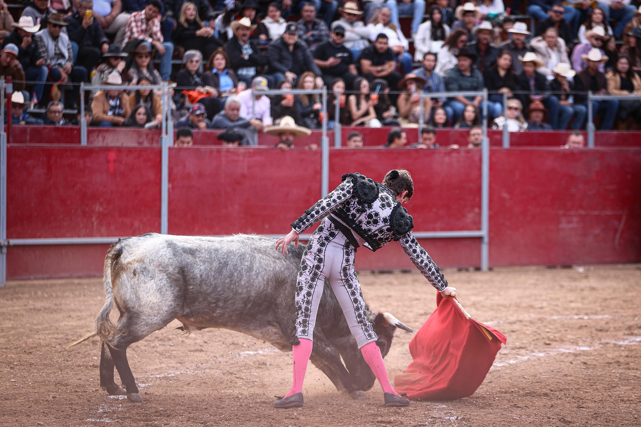 WhatsApp Image 2026-02-02 at 21.29.51 (3)