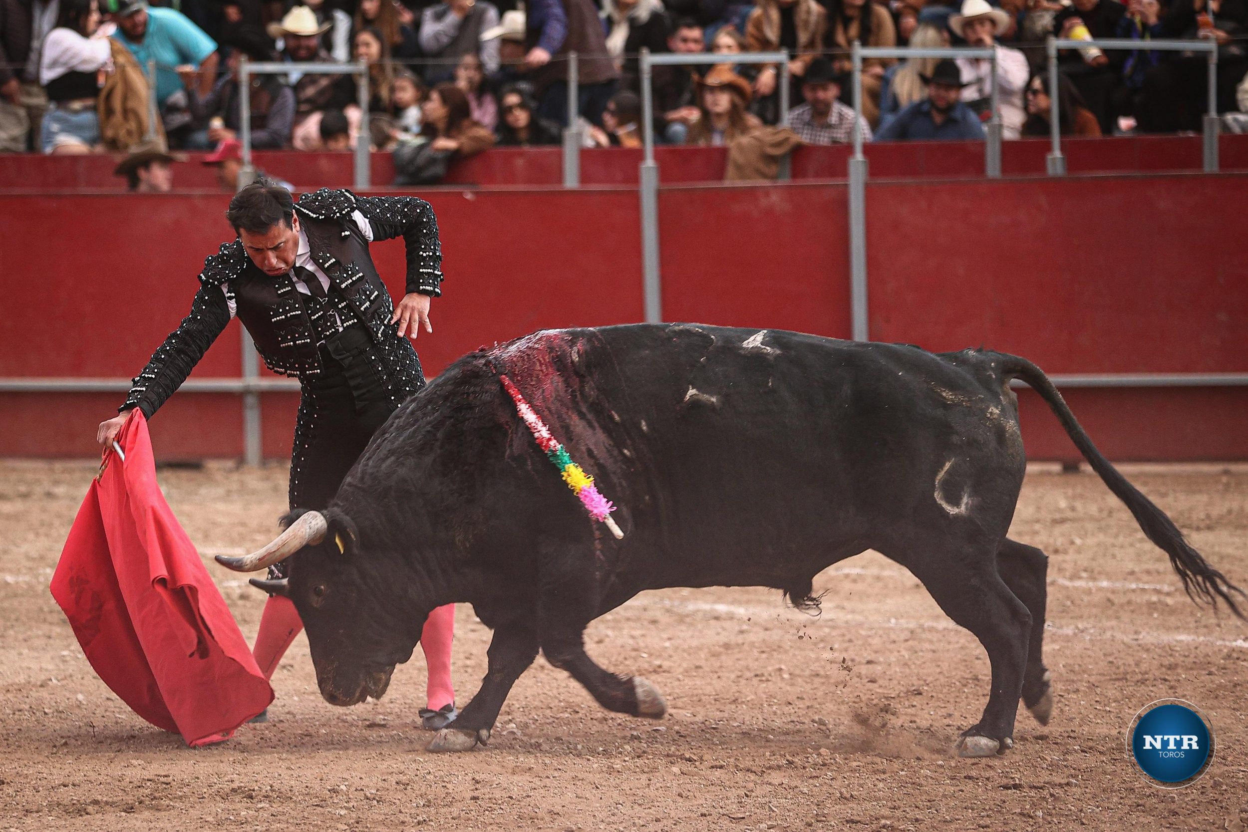 WhatsApp Image 2026-02-02 at 21.29.51 (4)