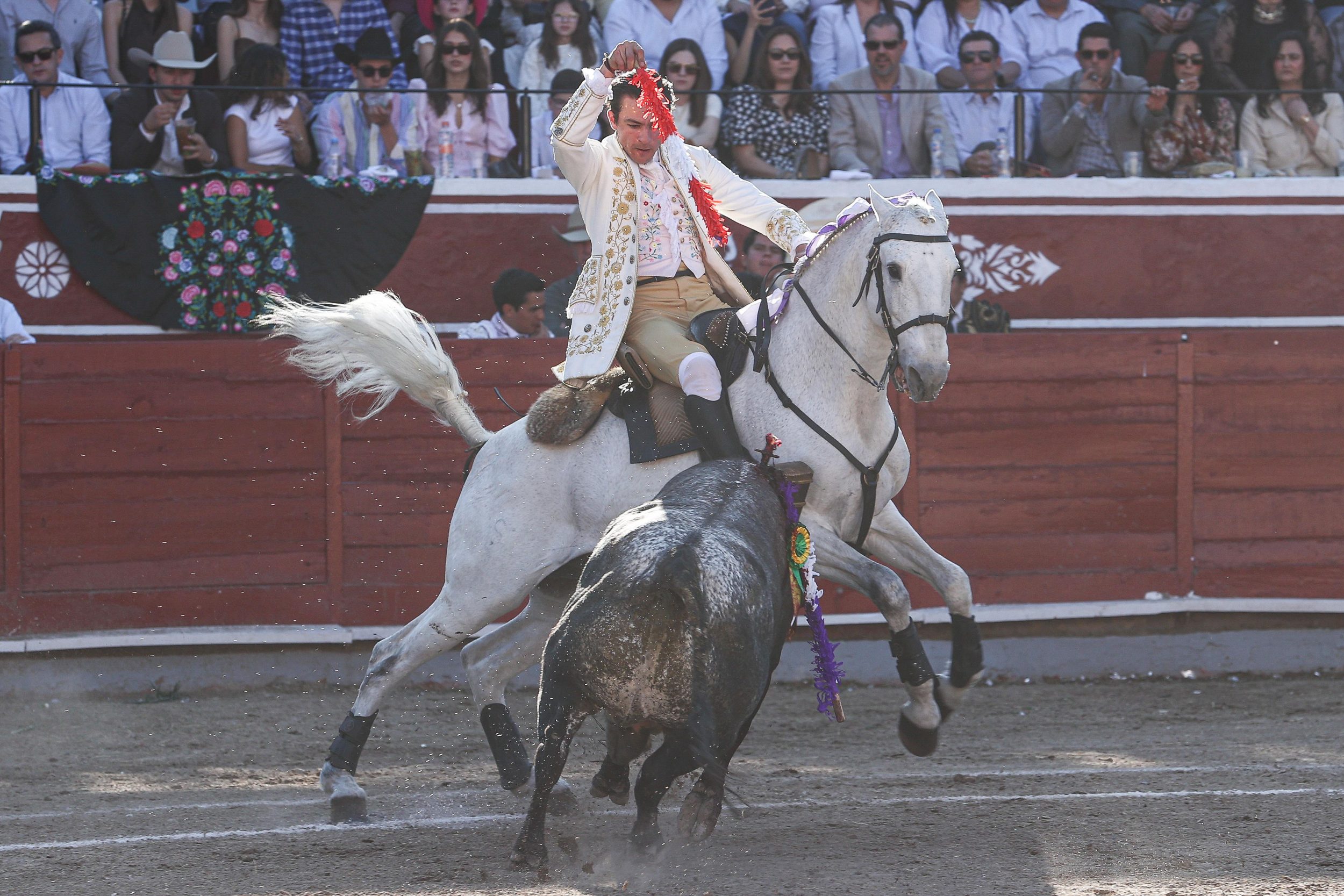 WhatsApp Image 2026-02-16 at 20.01.08 (1)