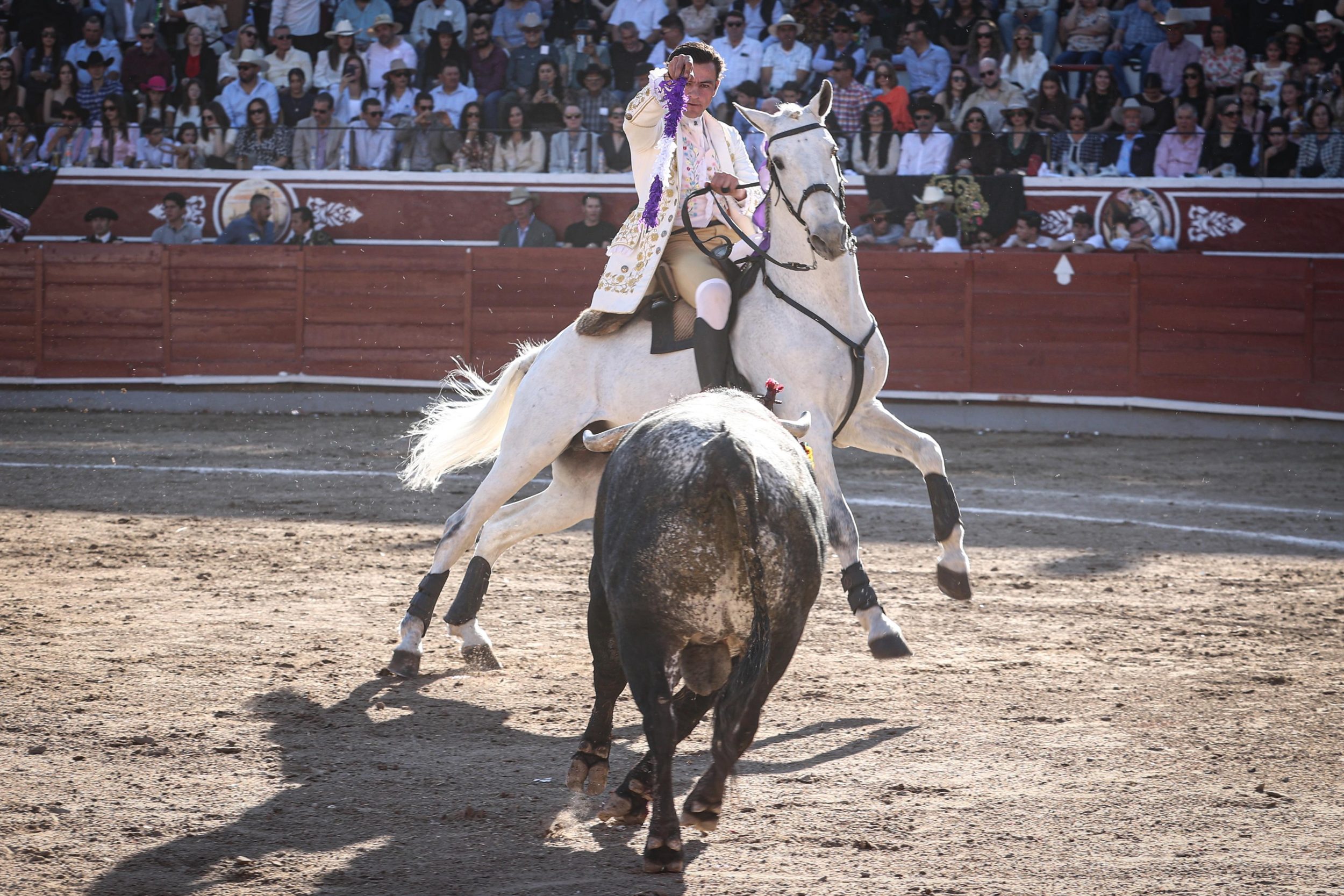 WhatsApp Image 2026-02-16 at 20.01.08 (3)