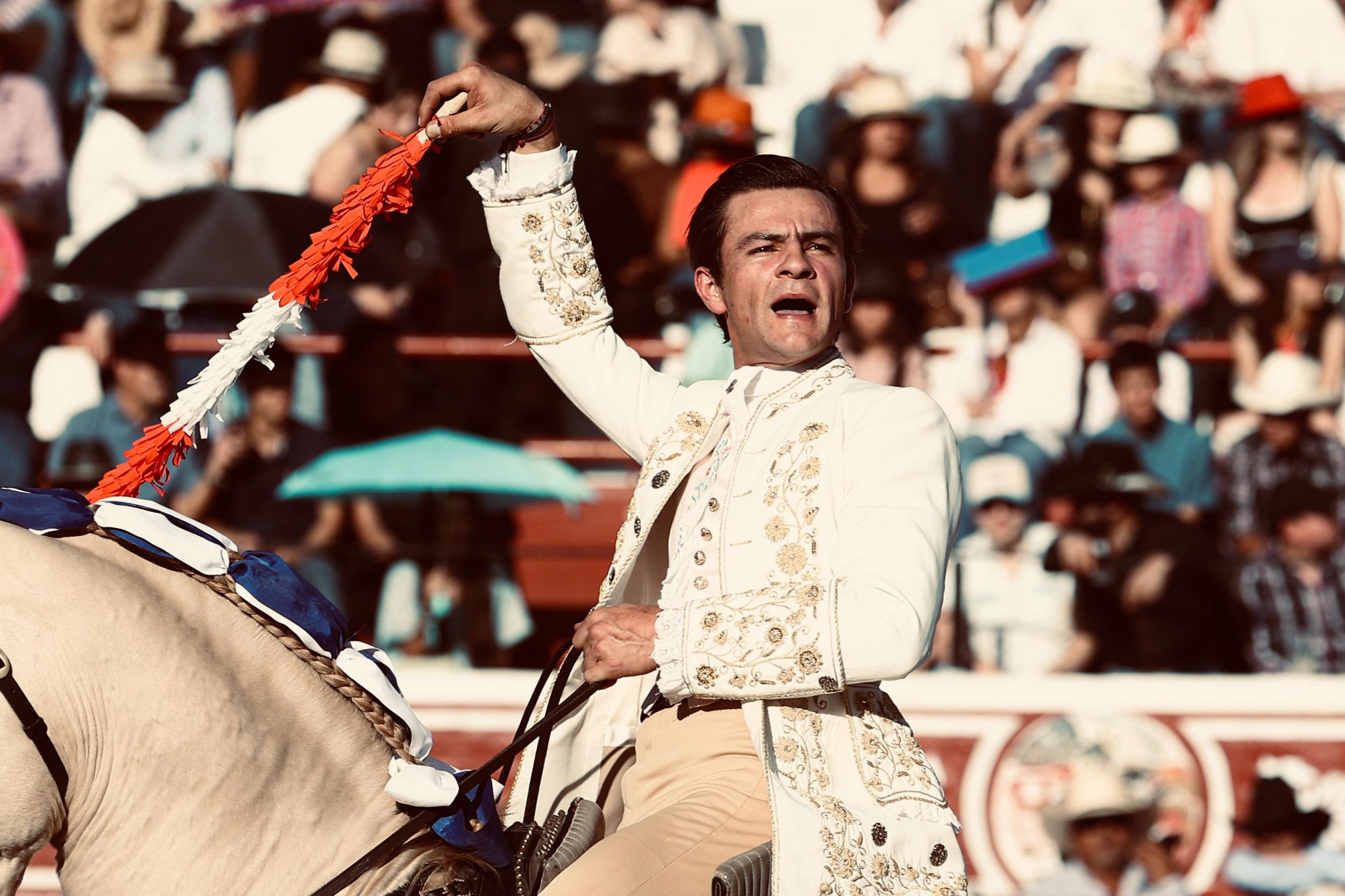 WhatsApp Image 2026-02-16 at 20.01.08 (4)