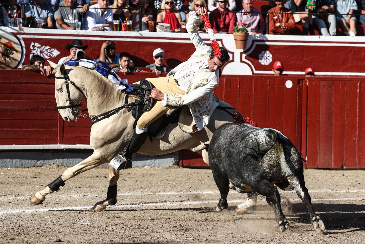 WhatsApp Image 2026-02-16 at 20.01.08 (5)