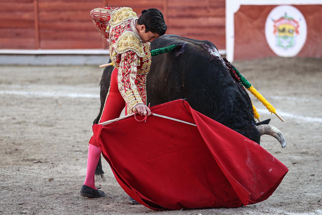 WhatsApp Image 2026-02-16 at 20.01.09 (1)