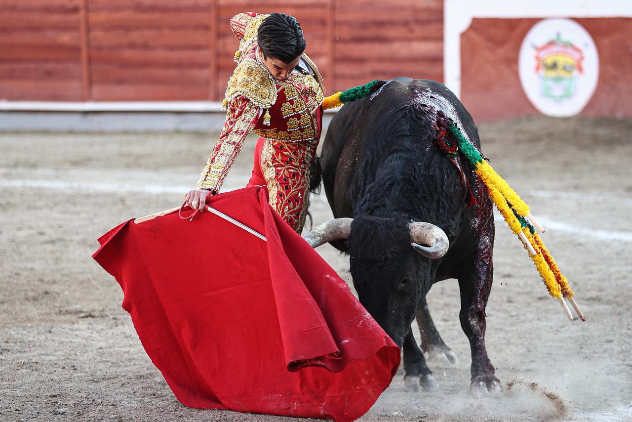 WhatsApp Image 2026-02-16 at 20.01.09 (2)