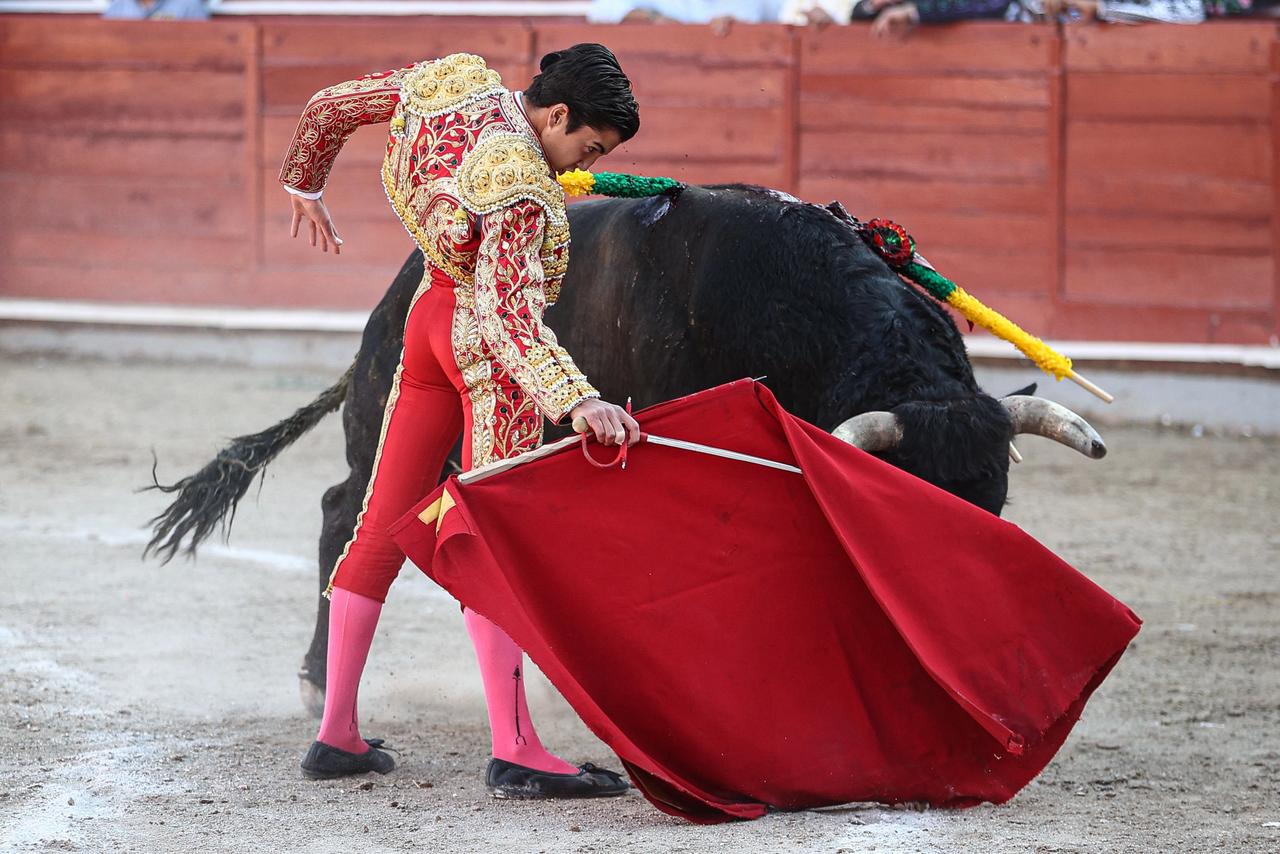 WhatsApp Image 2026-02-16 at 20.01.09 (6)