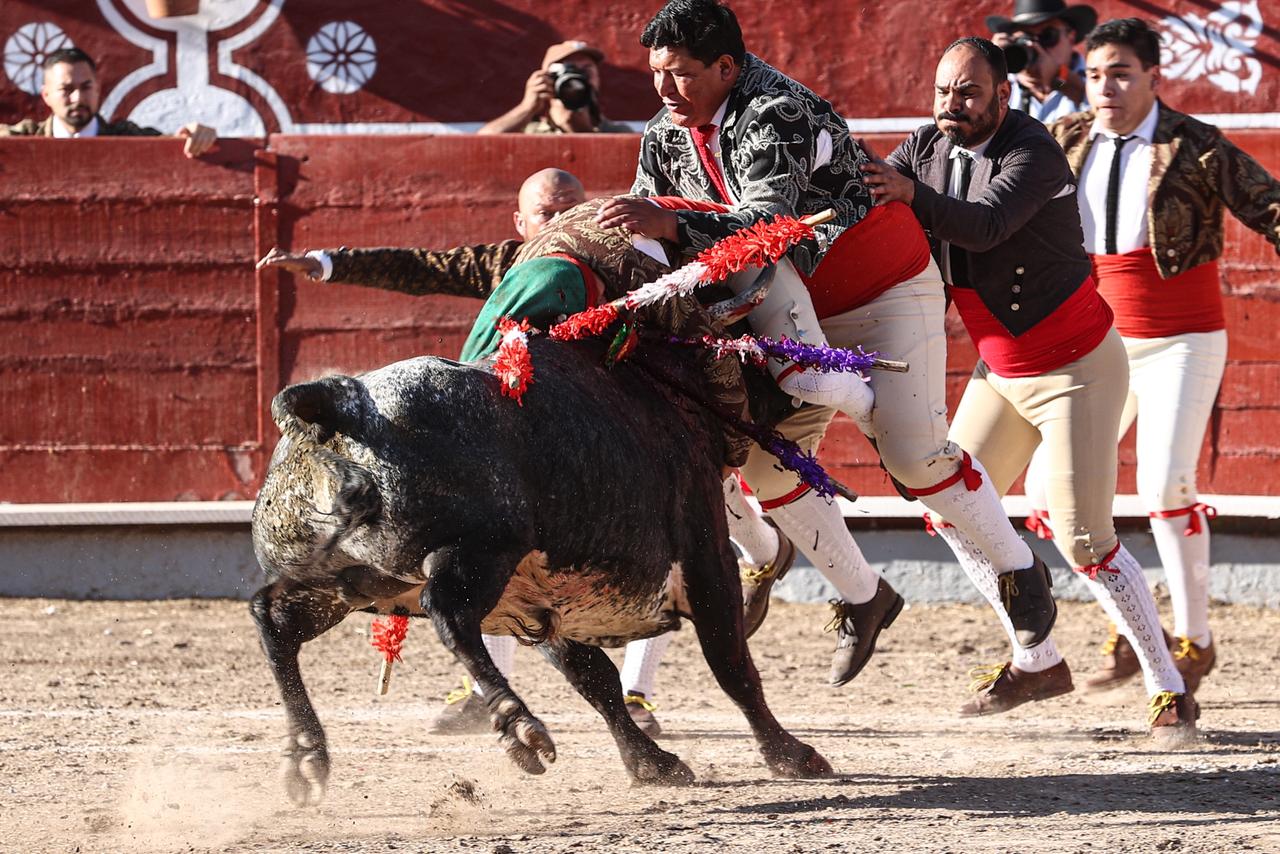 WhatsApp Image 2026-02-16 at 20.01.09