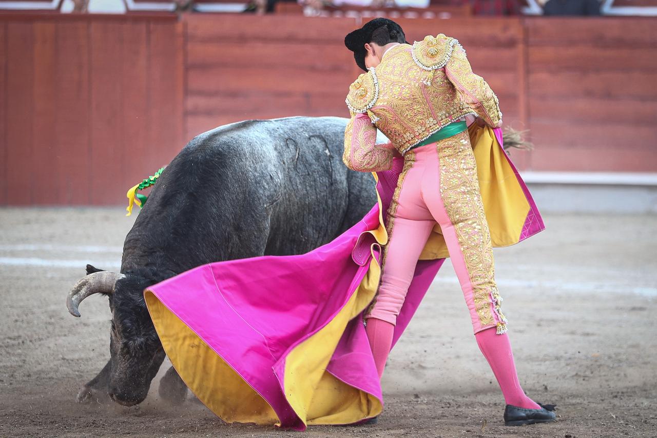 WhatsApp Image 2026-02-16 at 20.01.10 (1)