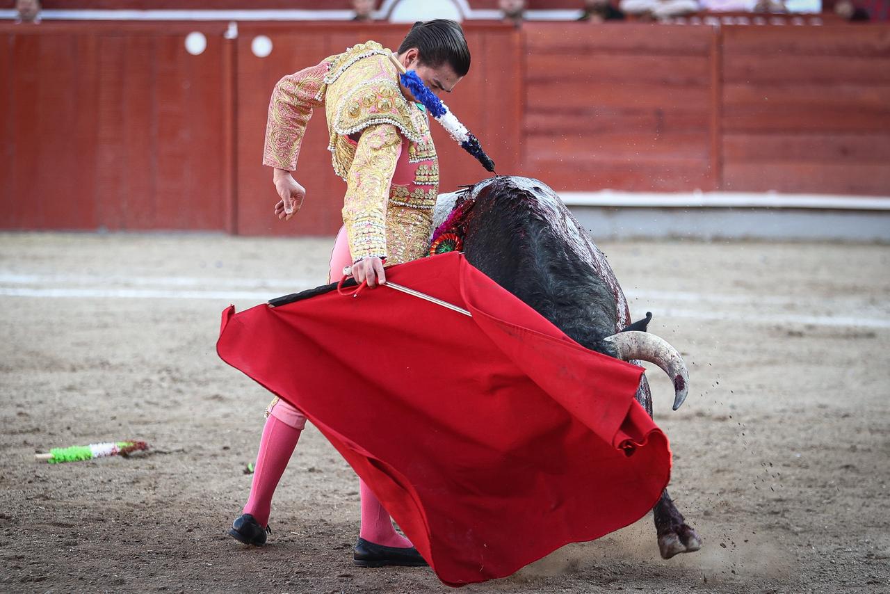 WhatsApp Image 2026-02-16 at 20.01.10 (2)