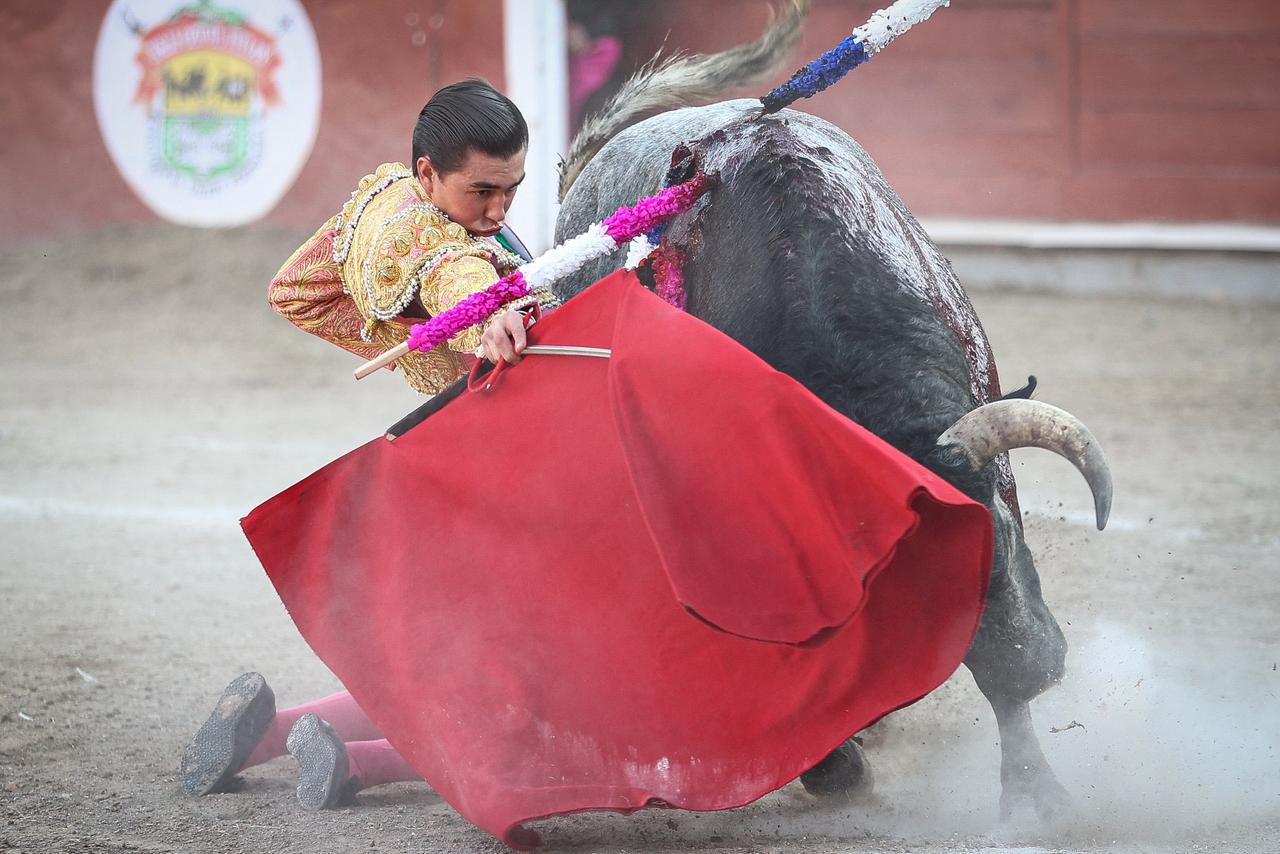 WhatsApp Image 2026-02-16 at 20.01.10 (3)