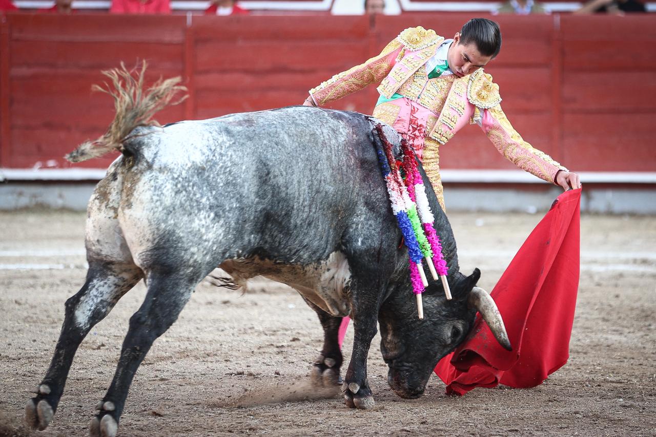 WhatsApp Image 2026-02-16 at 20.01.11 (1)