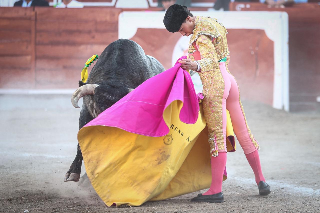 WhatsApp Image 2026-02-16 at 20.01.11 (2)