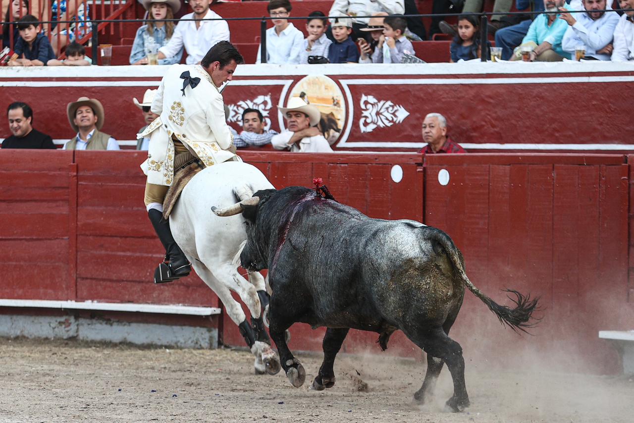 WhatsApp Image 2026-02-16 at 20.01.12 (1)