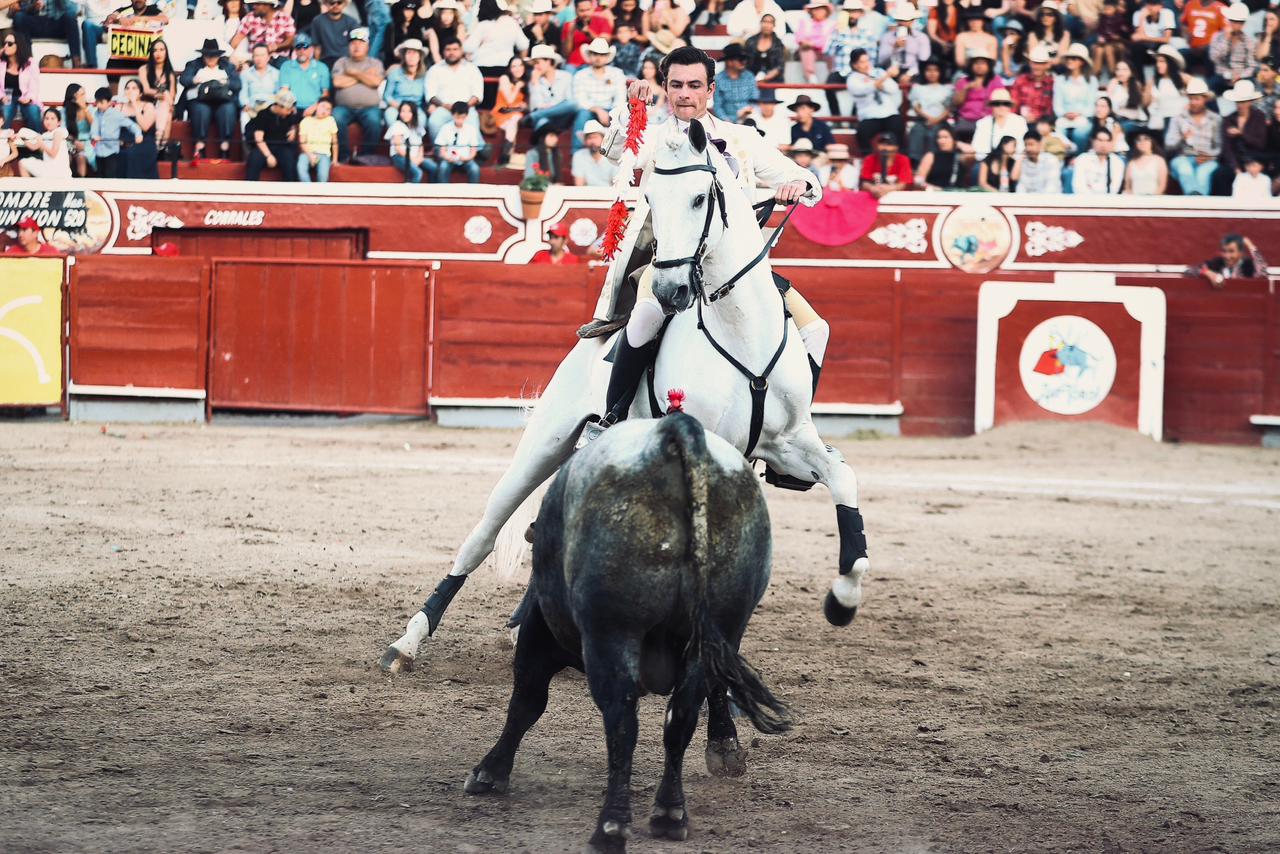 WhatsApp Image 2026-02-16 at 20.01.12 (2)