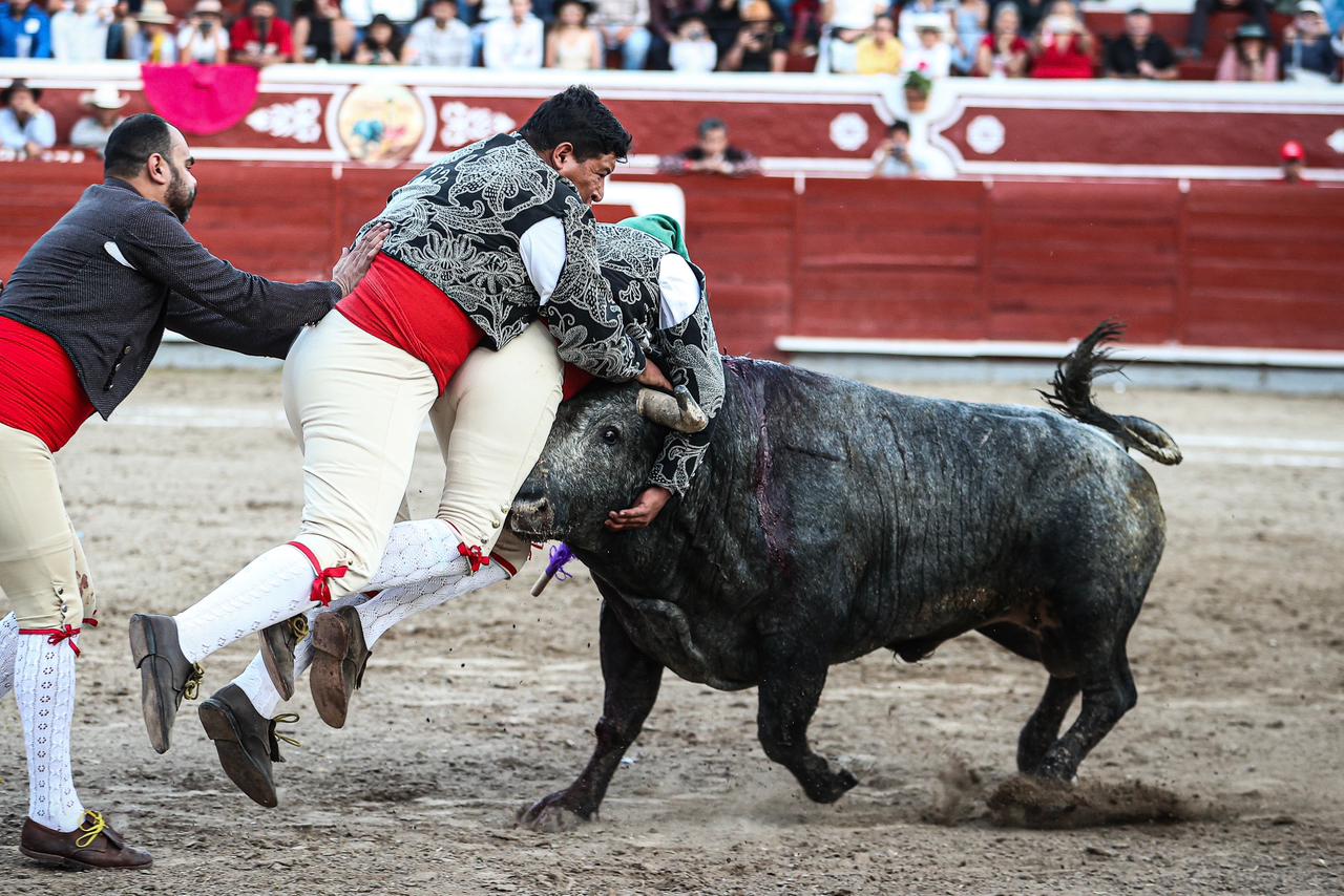 WhatsApp Image 2026-02-16 at 20.01.12 (5)