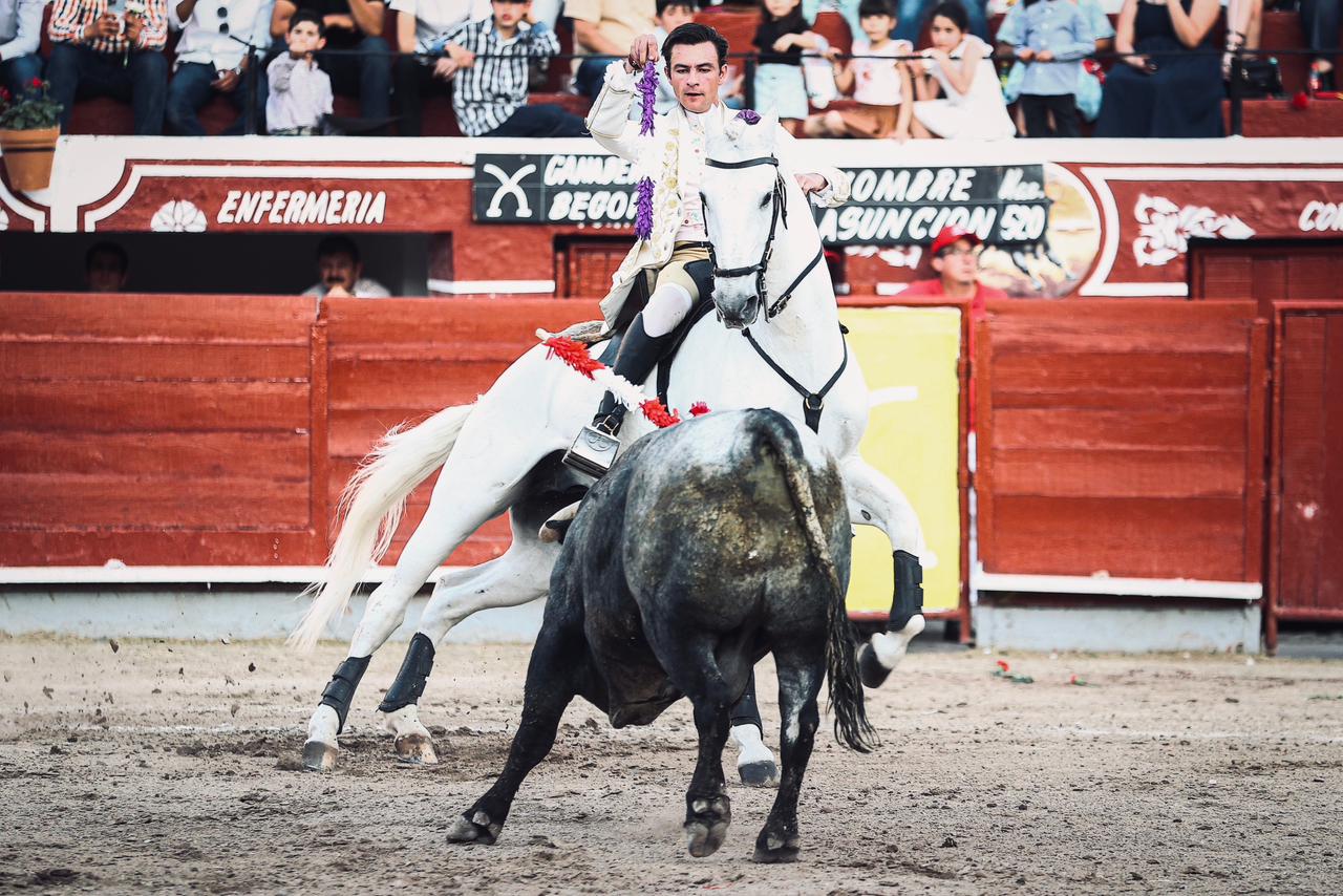 WhatsApp Image 2026-02-16 at 20.01.12