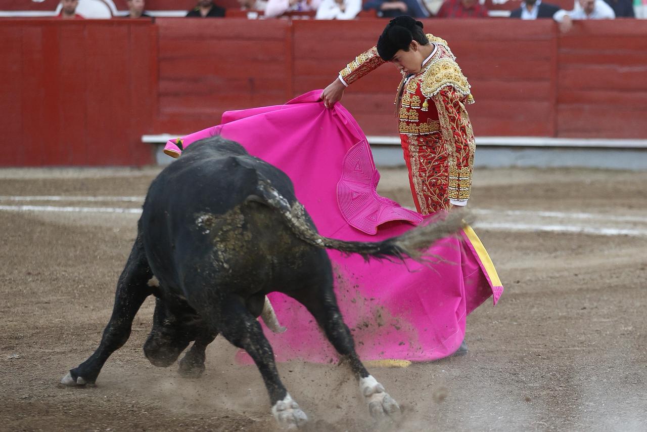 WhatsApp Image 2026-02-16 at 20.01.13 (2)