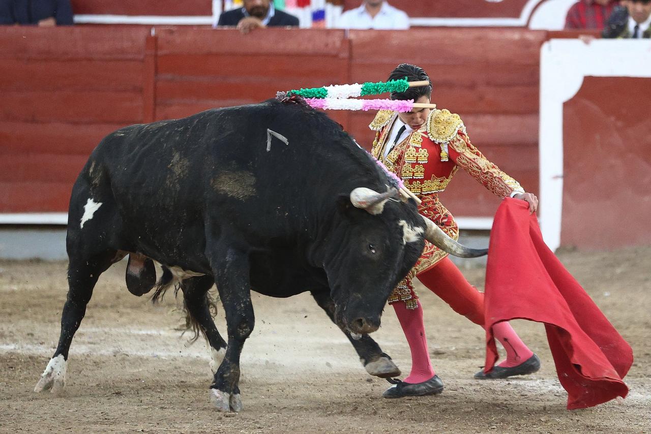 WhatsApp Image 2026-02-16 at 20.01.13