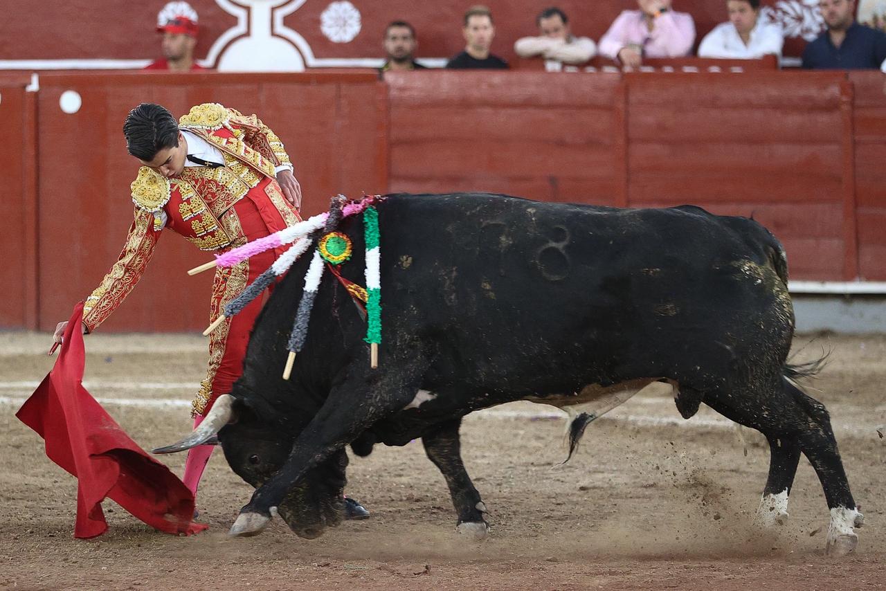 WhatsApp Image 2026-02-16 at 20.01.14 (2)