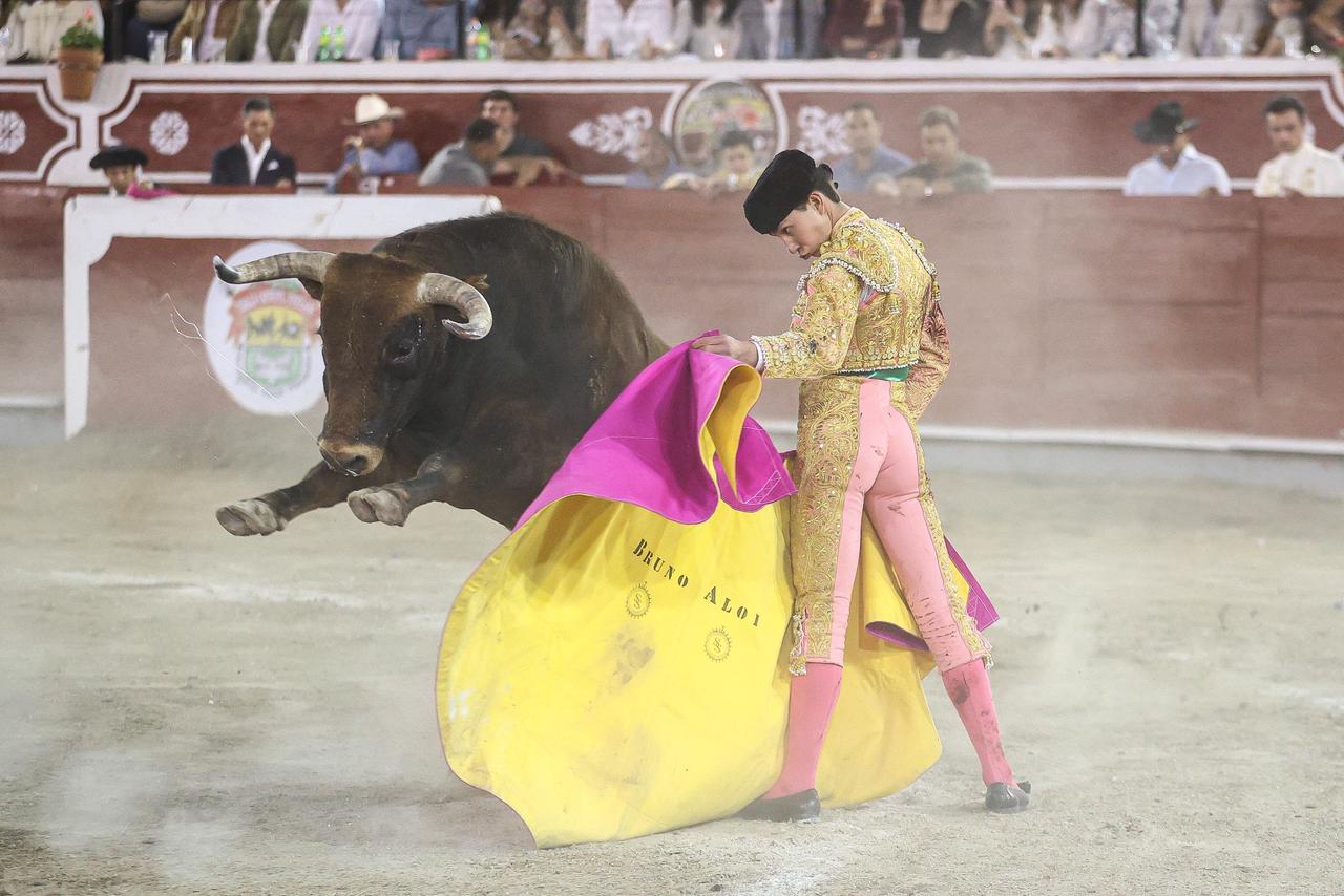 WhatsApp Image 2026-02-16 at 20.01.15