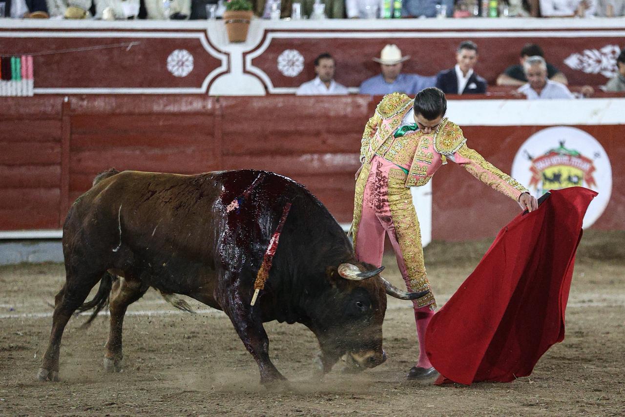 WhatsApp Image 2026-02-16 at 20.01.16