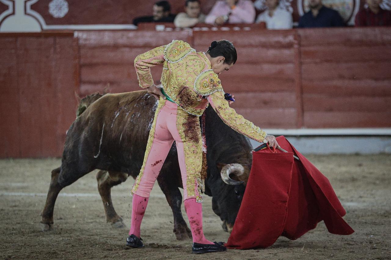 WhatsApp Image 2026-02-16 at 20.01.17 (1)